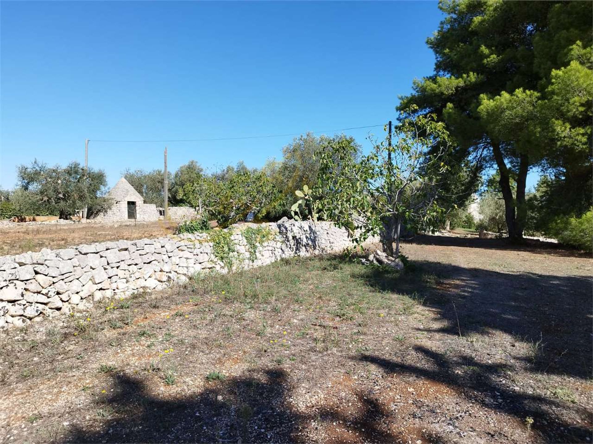 Huis in Ostuni, Apulia 12267608