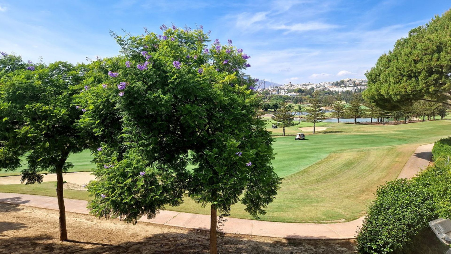 loger dans Las Lagunas de Mijas, Andalucía 12267842