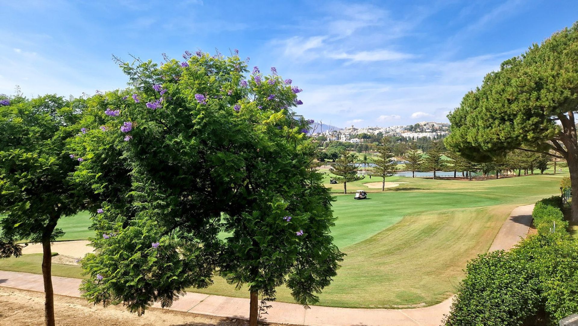 loger dans Las Lagunas de Mijas, Andalucía 12267842