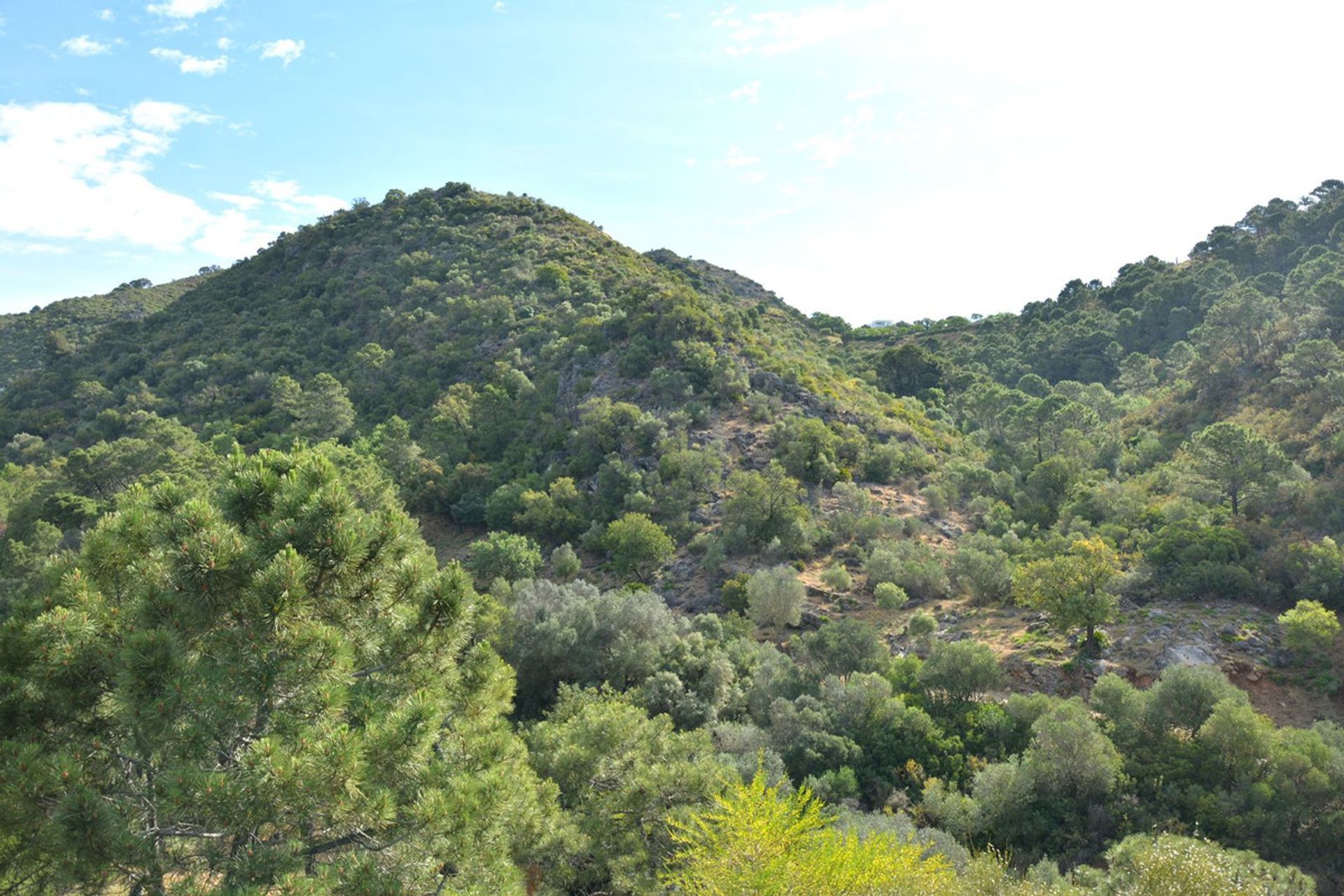 Land im Benahavís, Andalusia 12267944