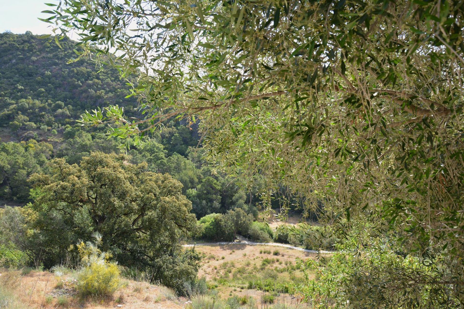 Land im Benahavís, Andalusia 12267944