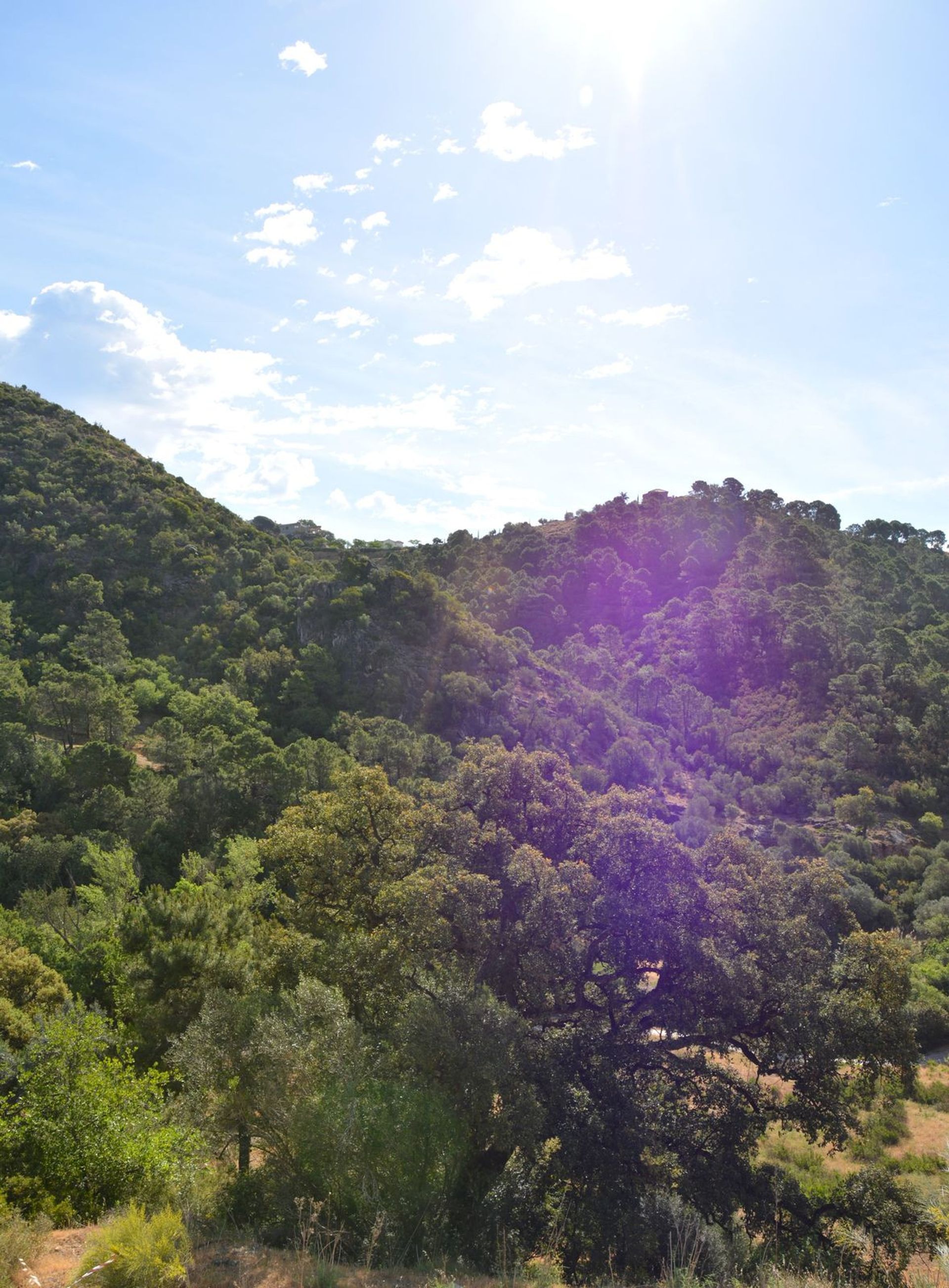 Land im Benahavís, Andalusia 12267944