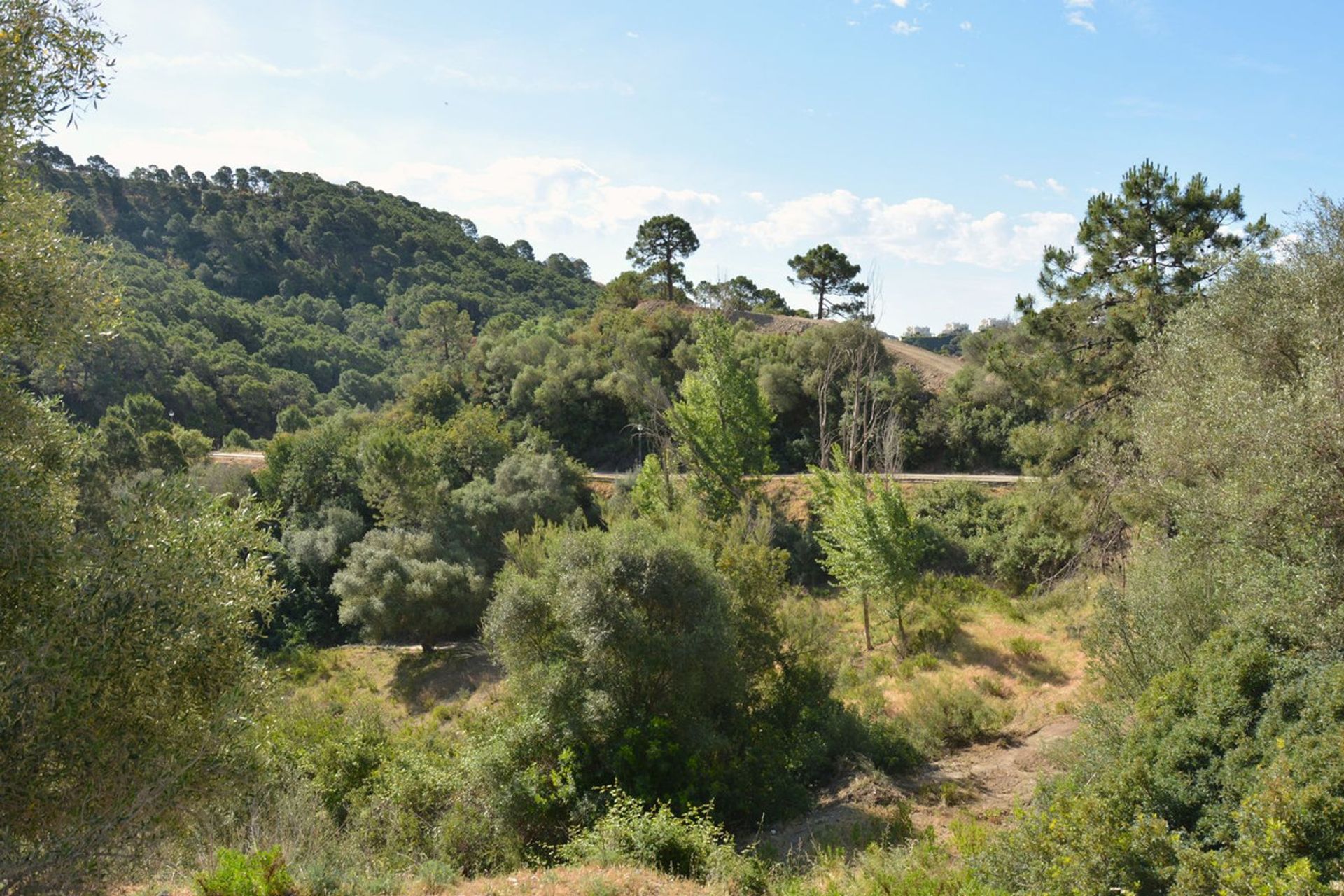 Land im Benahavís, Andalusia 12267944