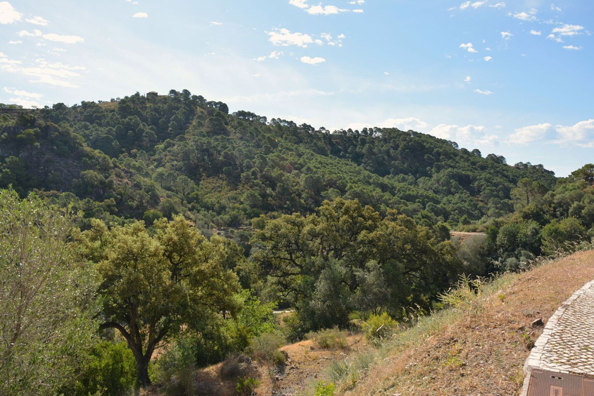 Land im Benahavís, Andalusia 12267944