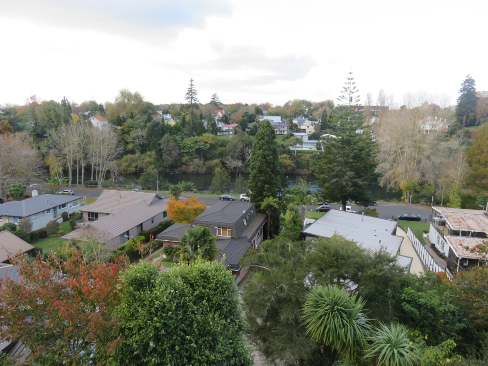 Condominium in Hamilton, Waikato 12268173