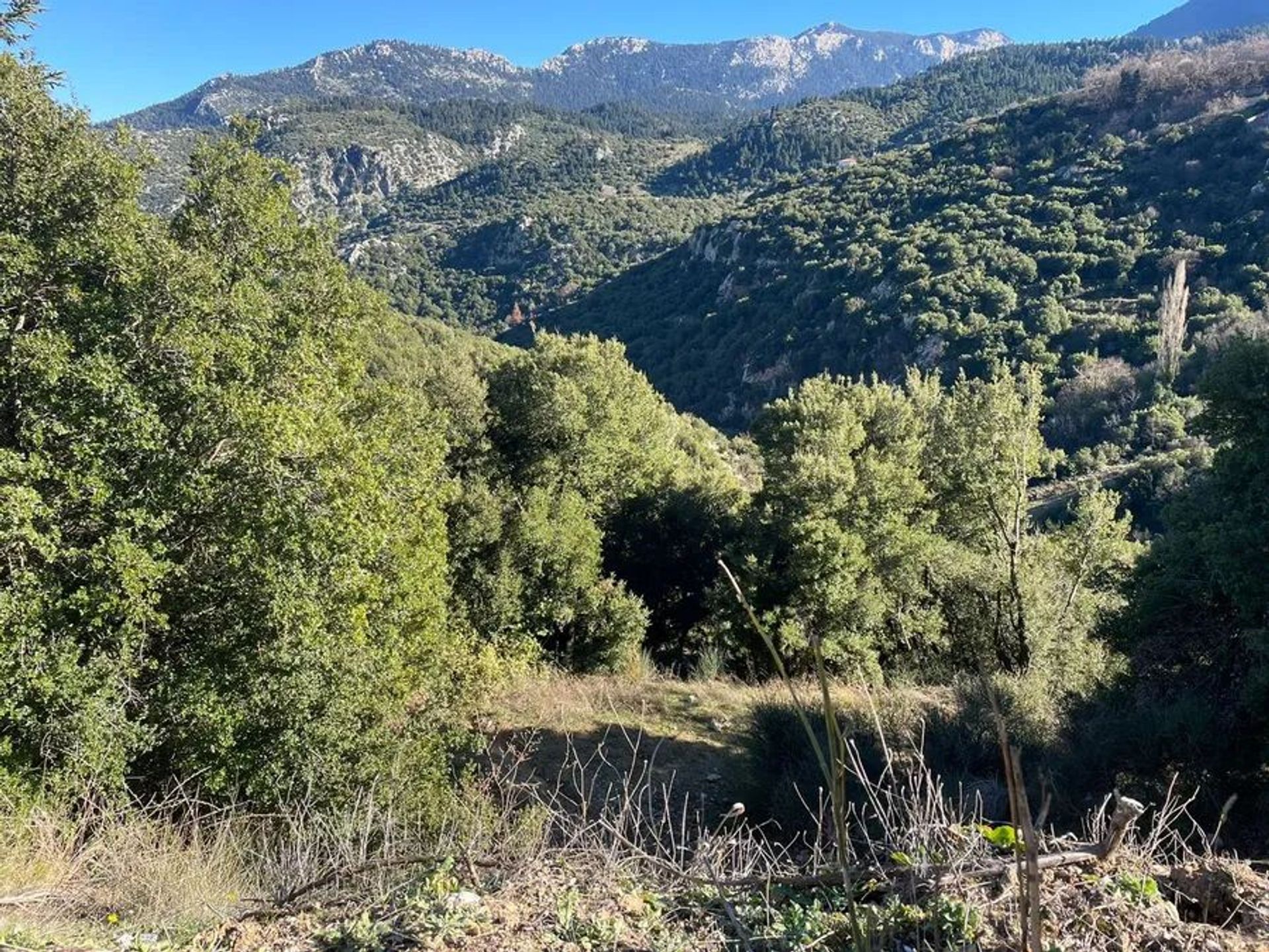 Tierra en Arájova, Esterea Ellada 12270321