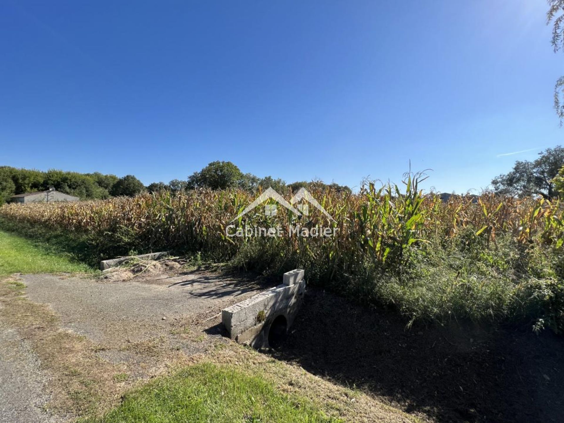 Tierra en Saint-Jean-d'Angely, Nueva Aquitania 12271575