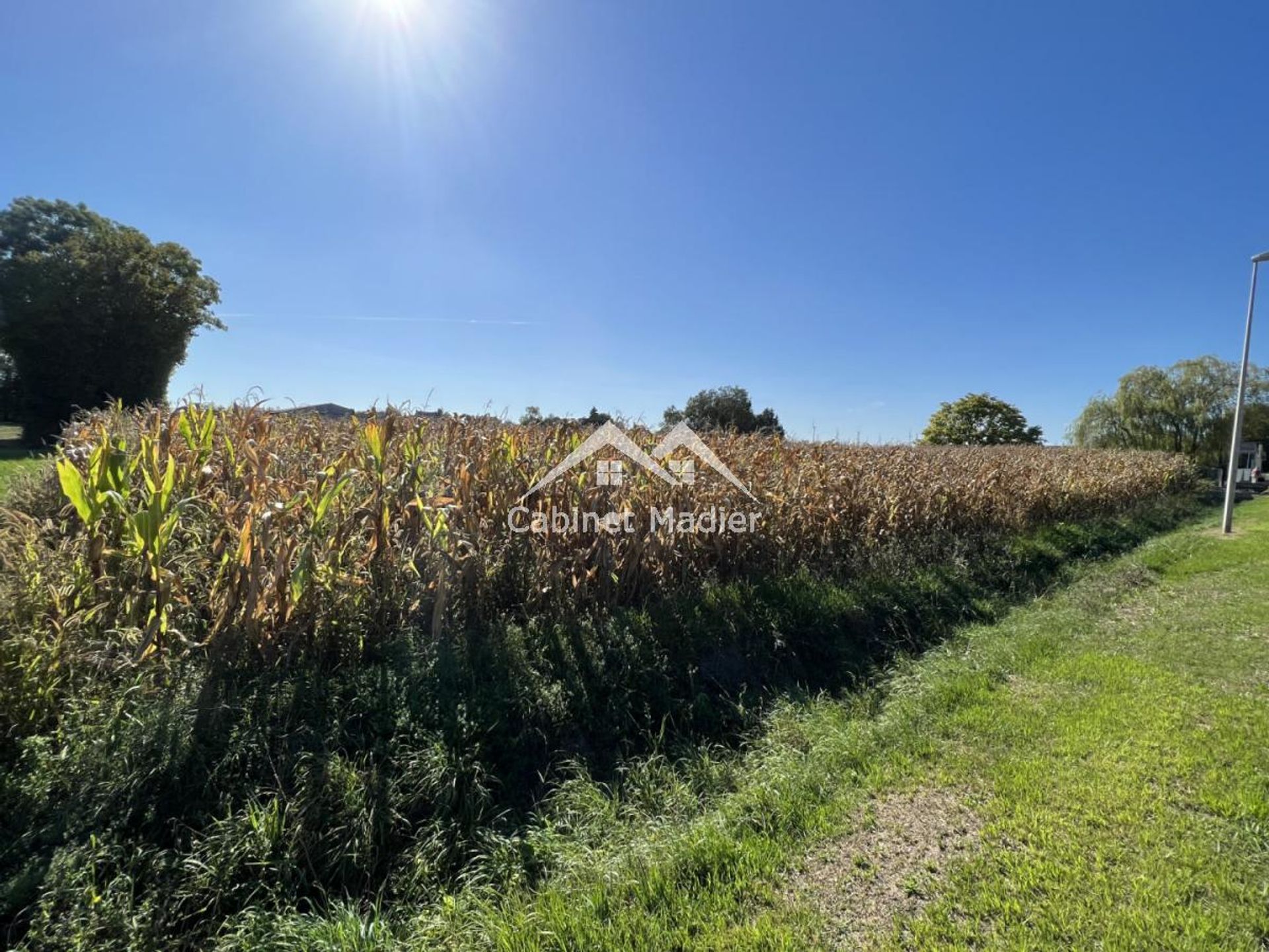 Land i Saint-Jean-d'Angely, Nouvelle-Aquitaine 12271575