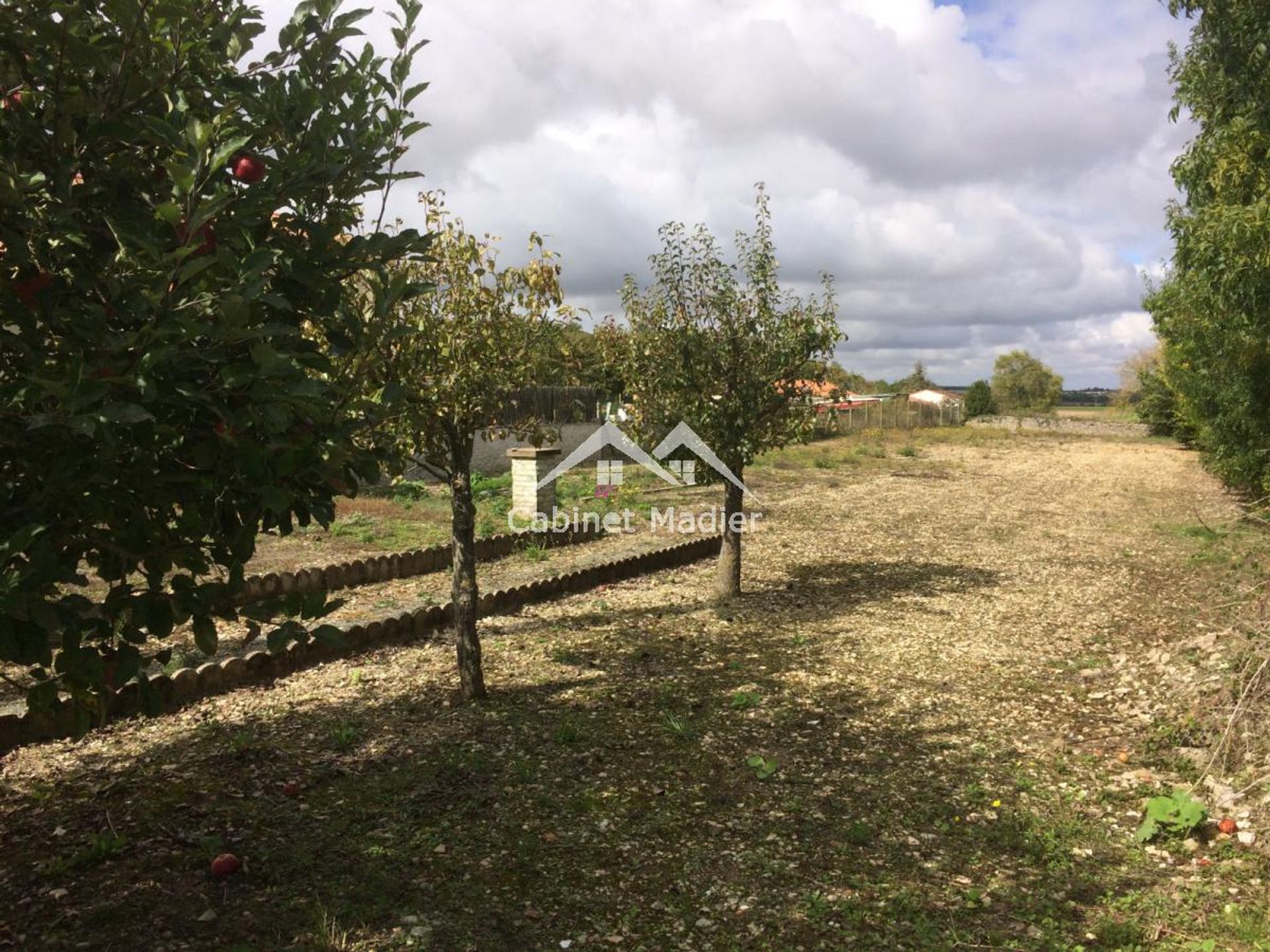 Tanah dalam Asnieres-la-Giraud, Nouvelle-Aquitaine 12271646