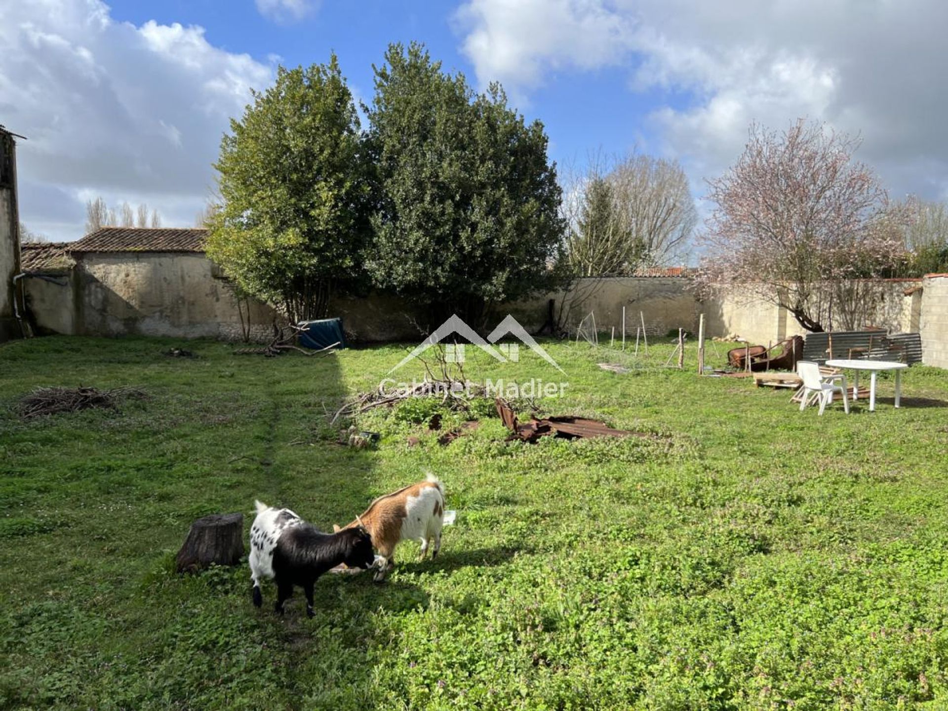 Tanah di Saint-Jean-d'Angely, Nouvelle-Aquitaine 12271653