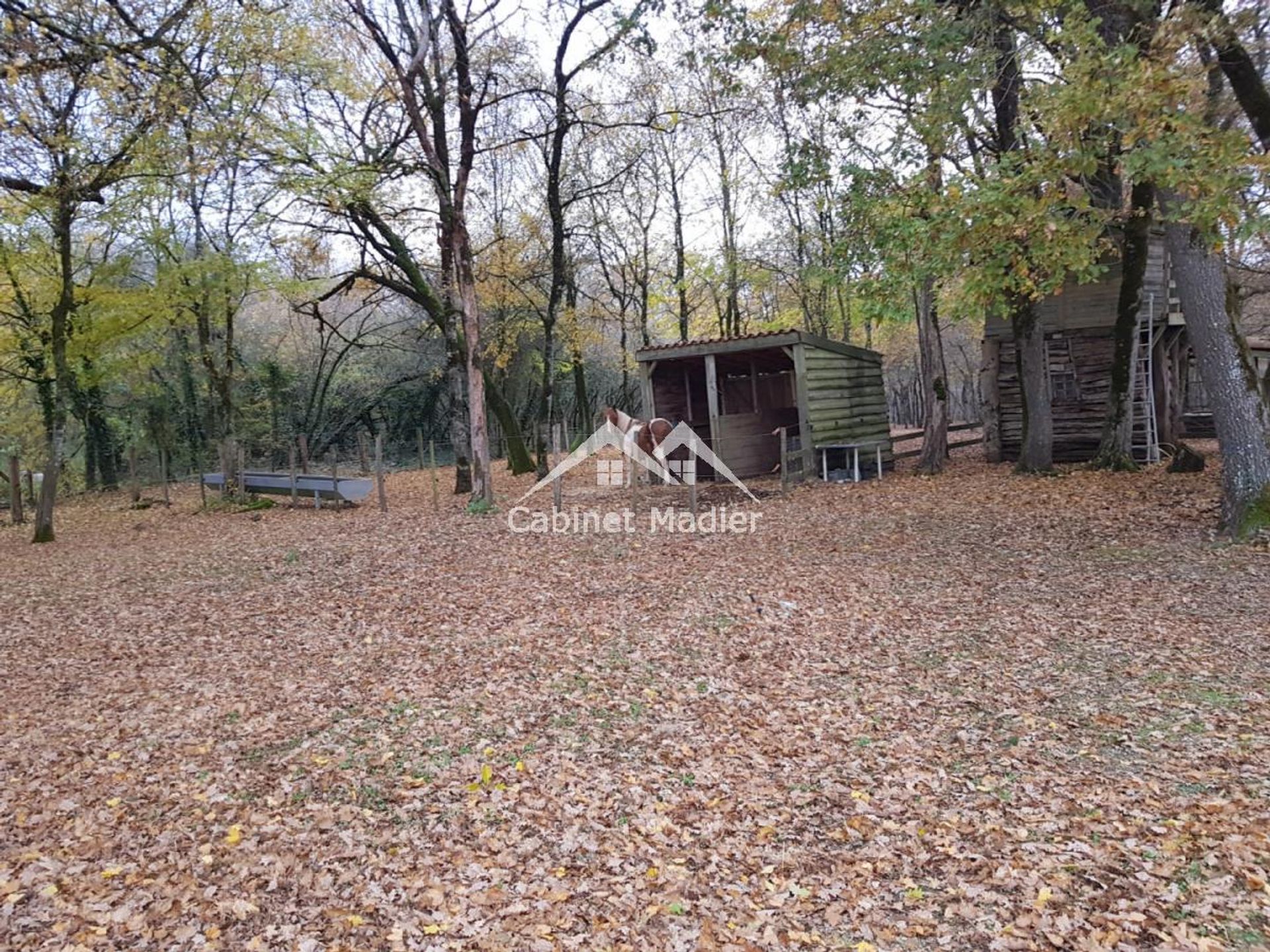 Tierra en Matha, Nouvelle-Aquitaine 12271659