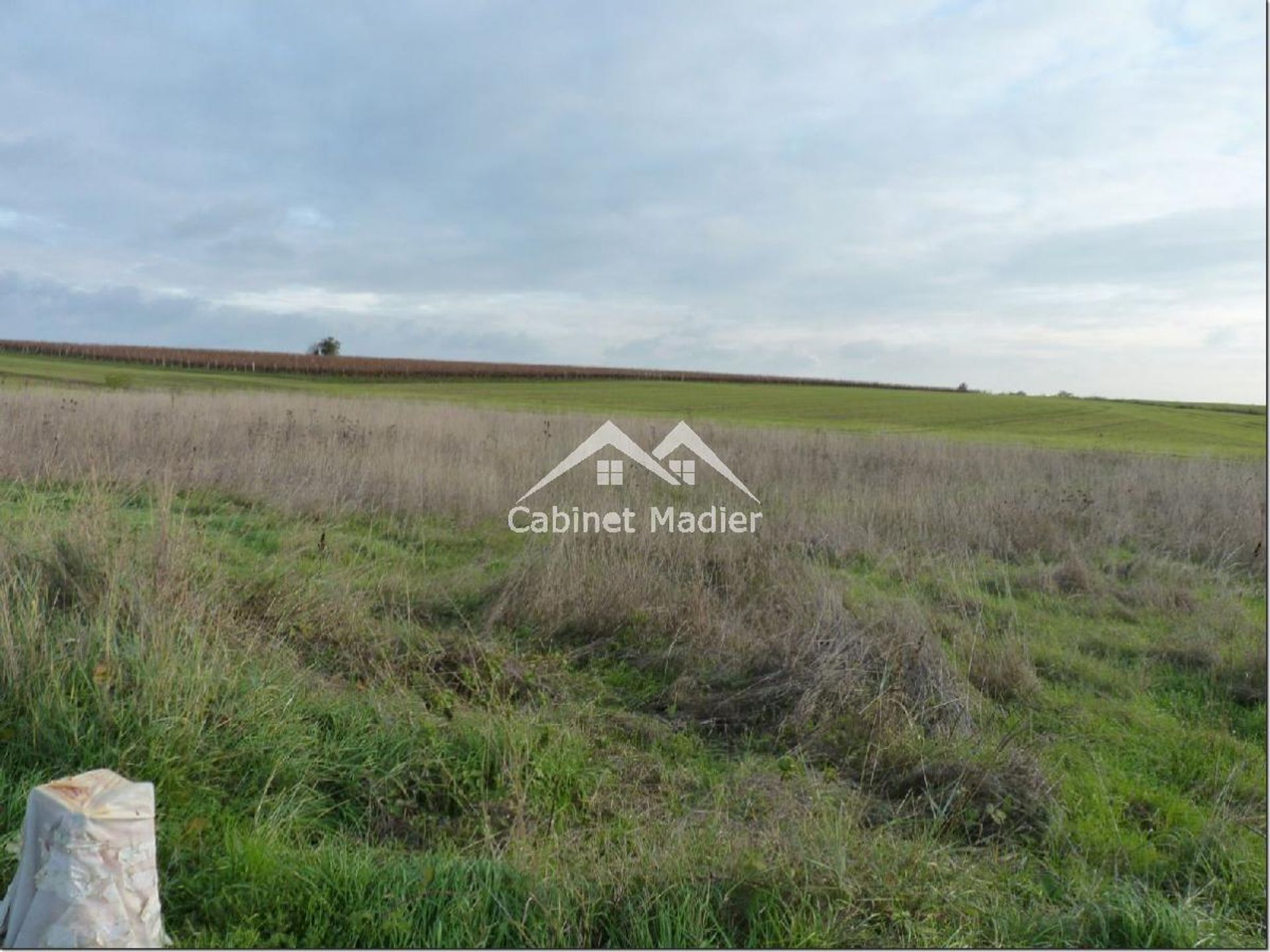 Land in Saint-Jean-d'Angely, Nouvelle-Aquitaine 12271664