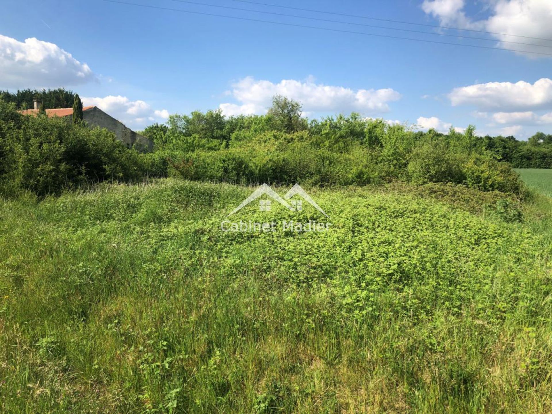 Land in Saint-Jean-d'Angely, Nouvelle-Aquitaine 12271695