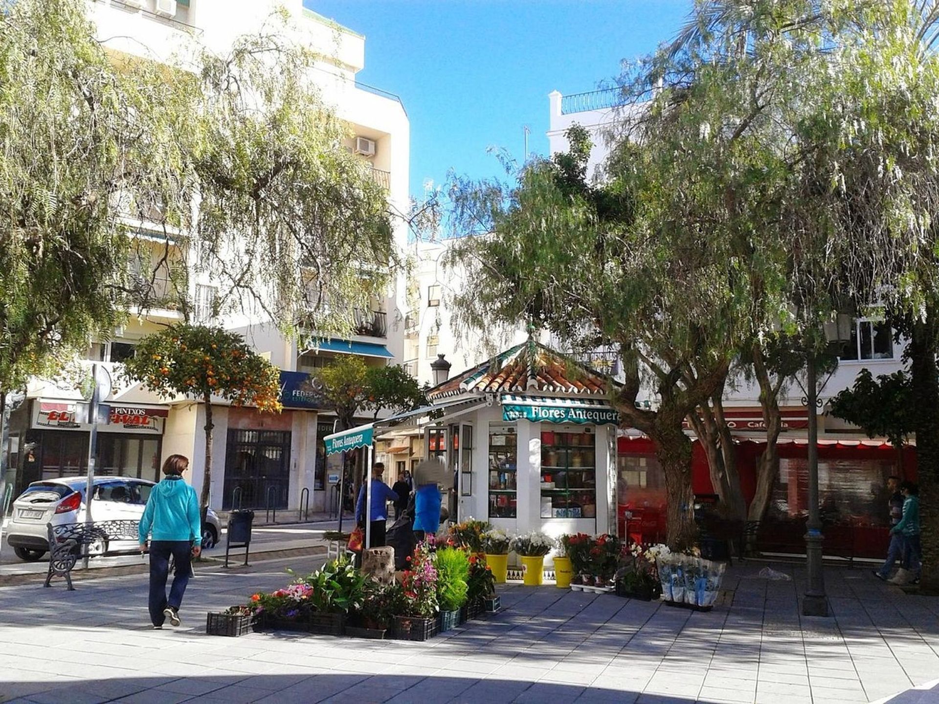 सम्मिलित में Estepona, Andalucía 12271768