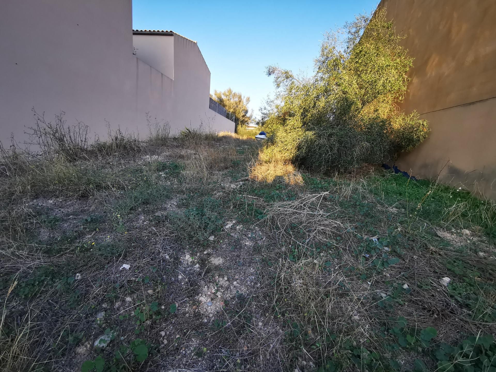 Terre dans Villafranca de Bonany, les Îles Baléares 12274172