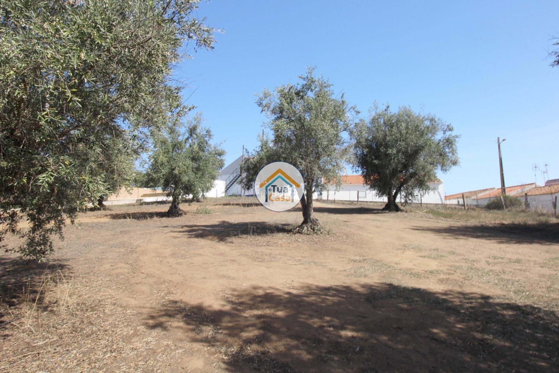 Hus i Nossa Senhora da Tourega, Évora 12275448