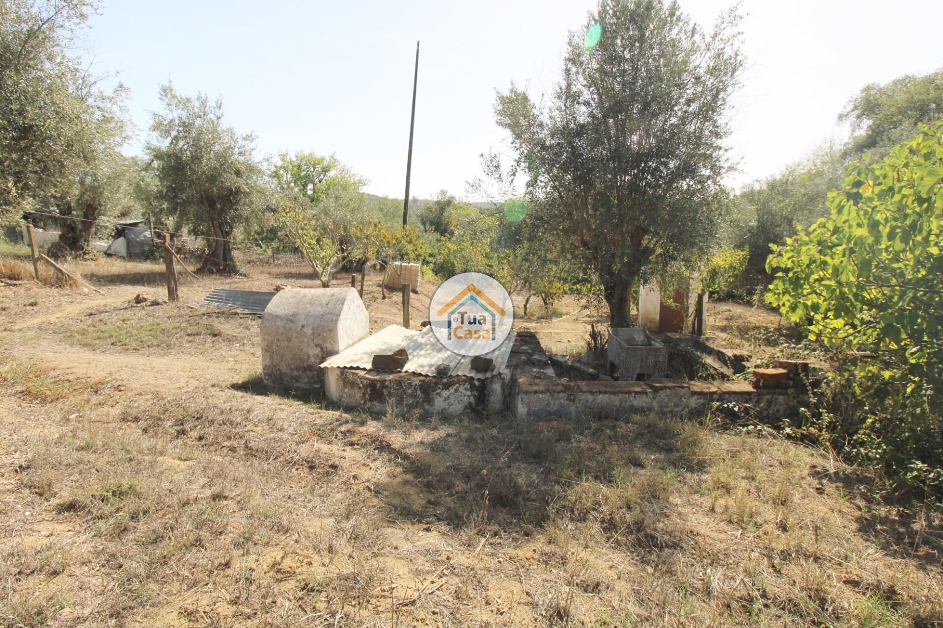 Hus i Nossa Senhora da Tourega, Évora 12275448