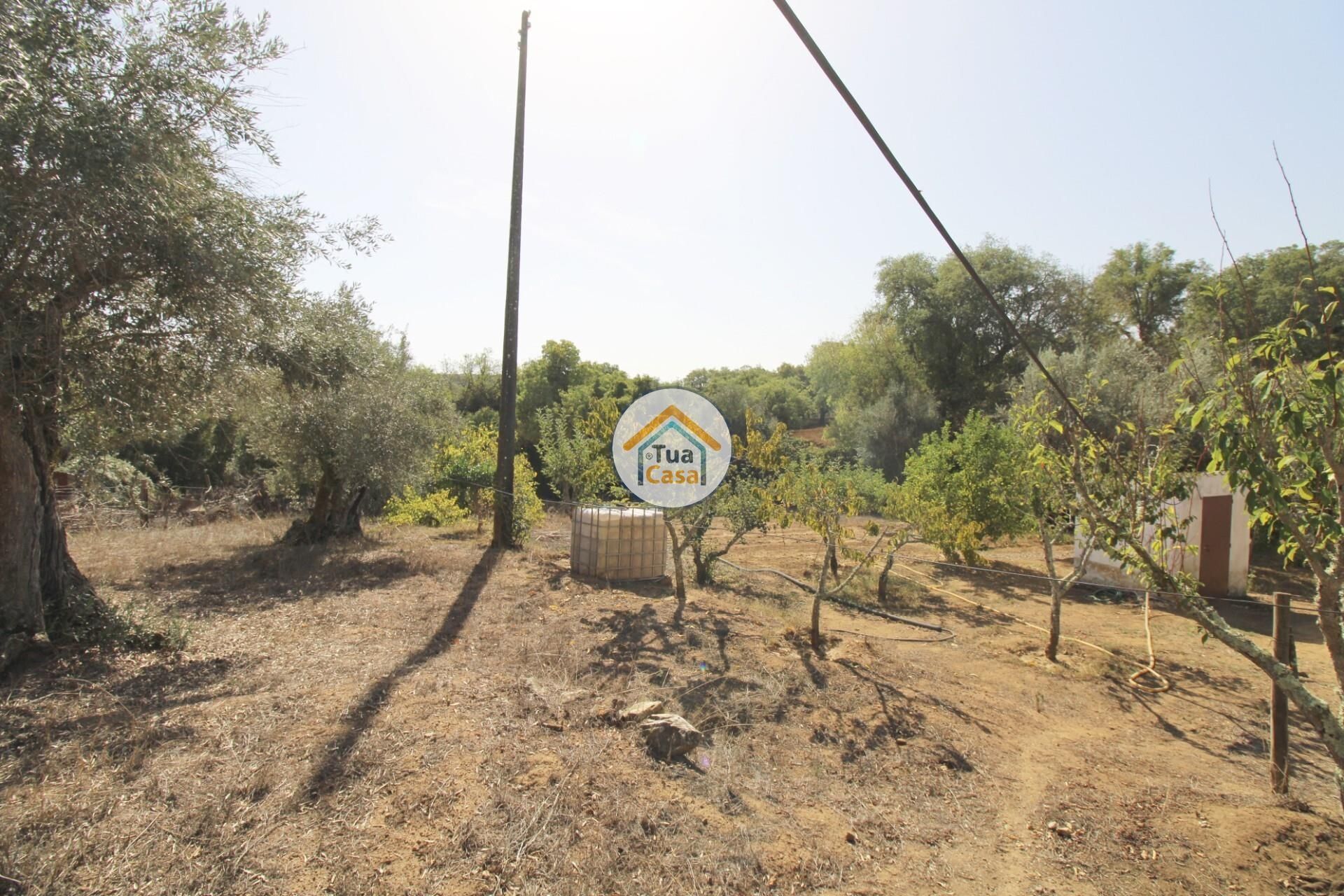 Hus i Nossa Senhora da Tourega, Évora 12275448