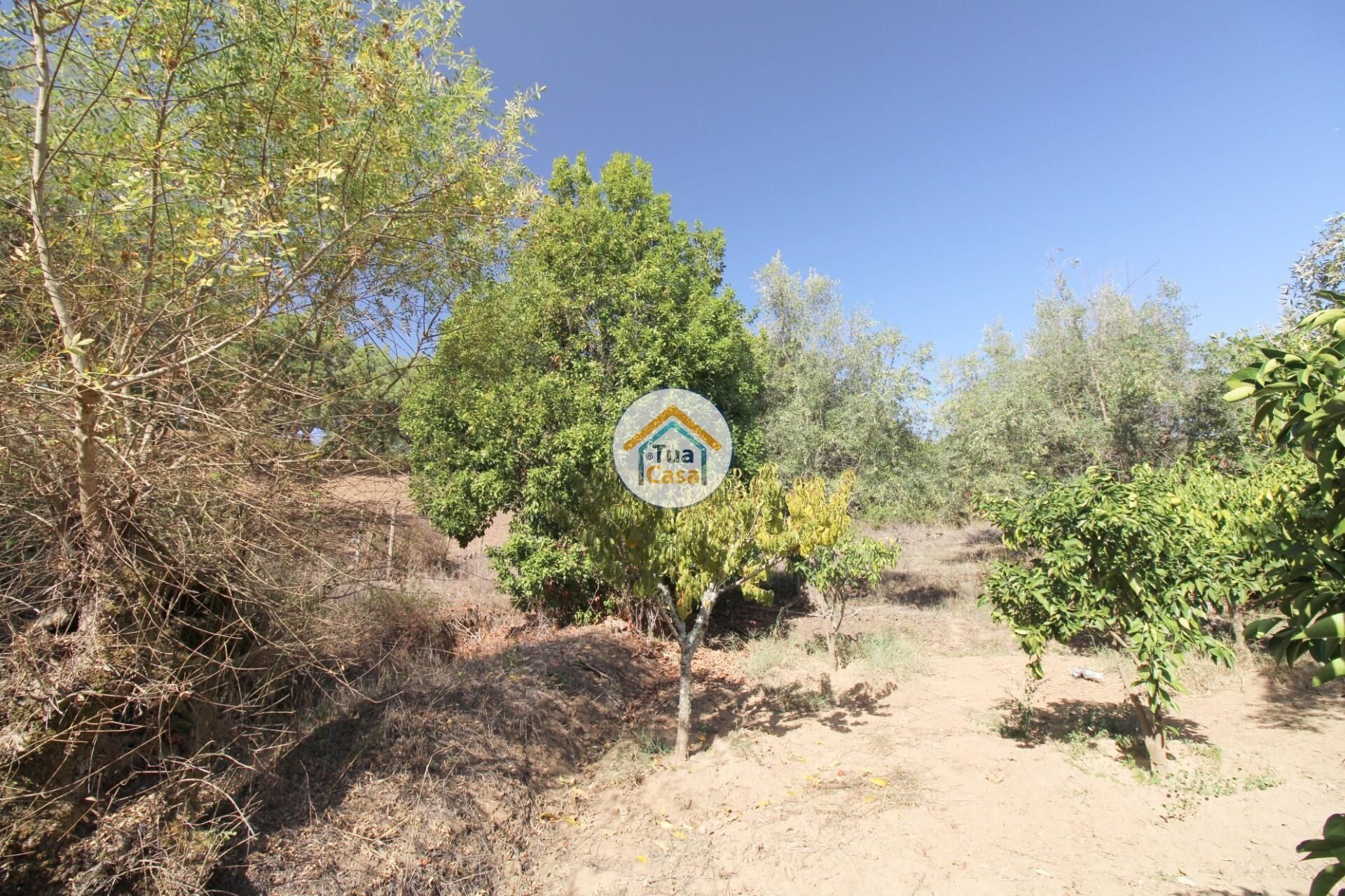 Hus i Nossa Senhora da Tourega, Évora 12275448