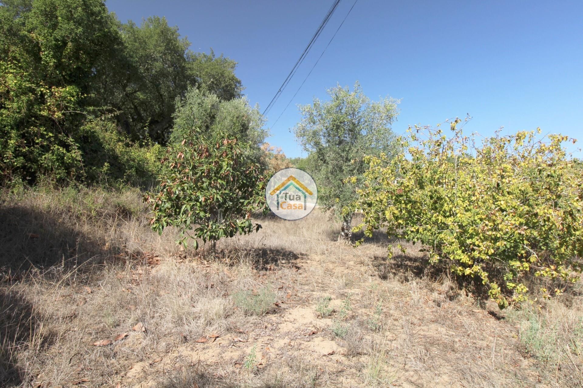 Hus i Nossa Senhora da Tourega, Évora 12275448