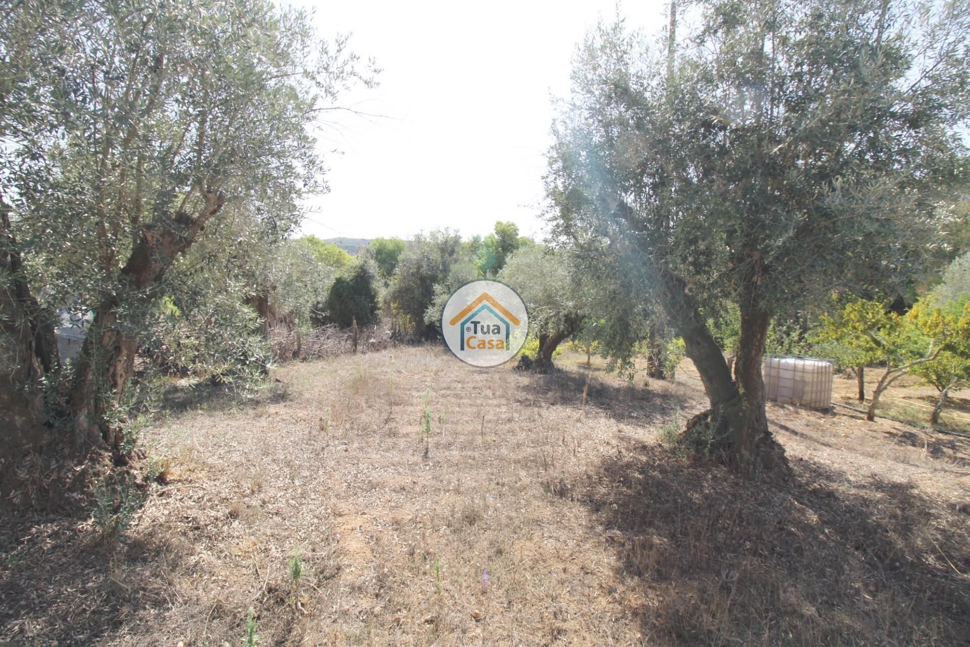 Hus i Nossa Senhora da Tourega, Évora 12275448