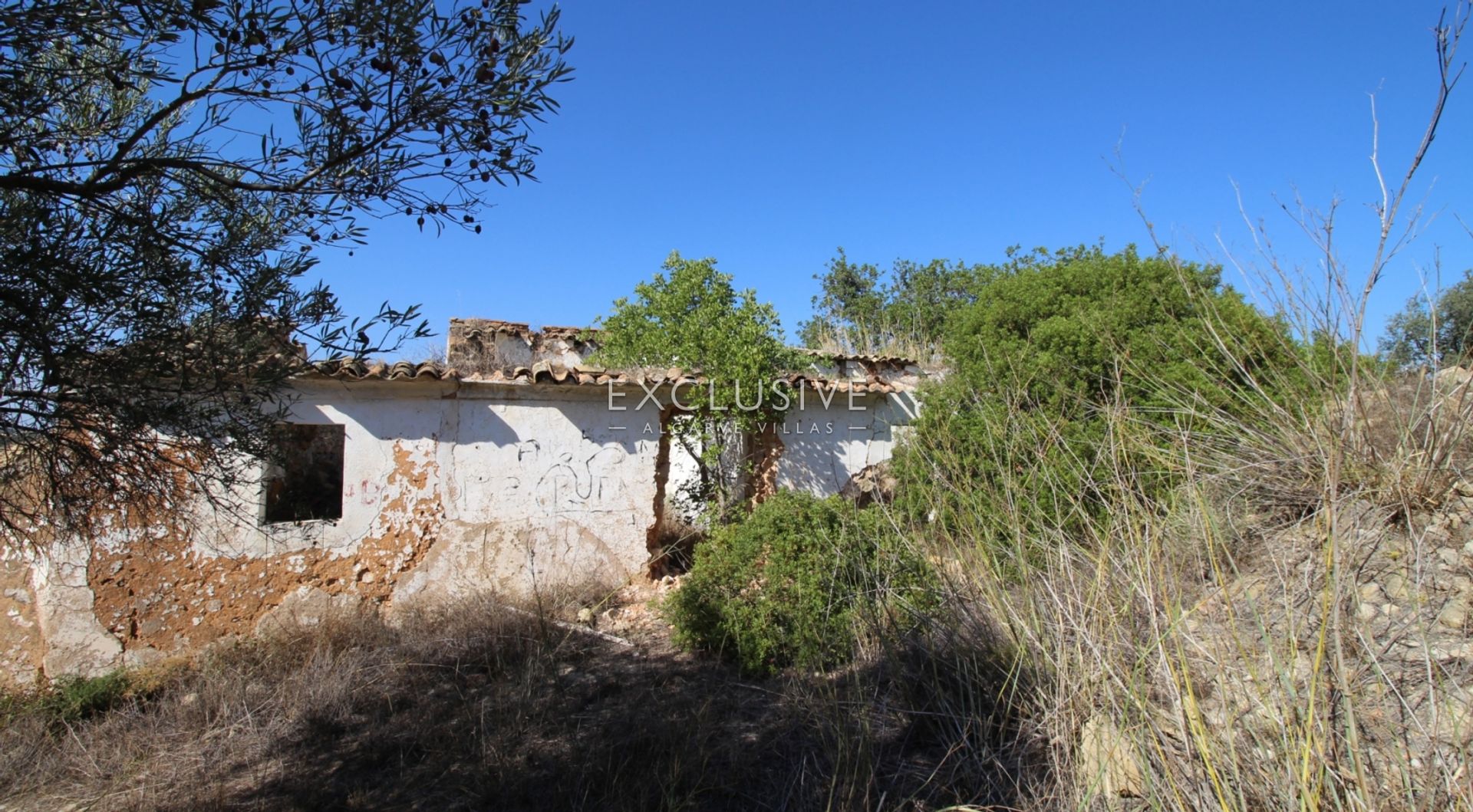 Land i Loulé, Faro District 12275507