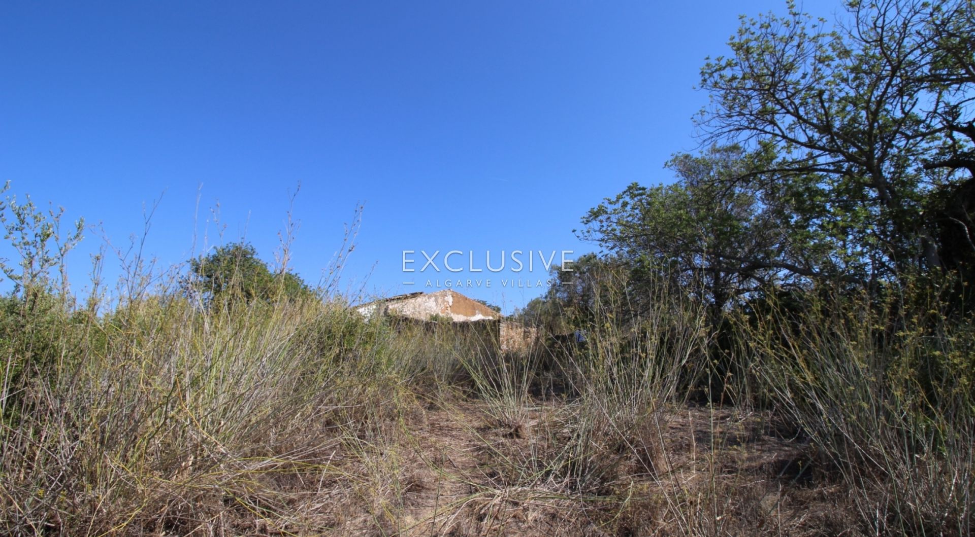 Land in Loule, Faro 12275507