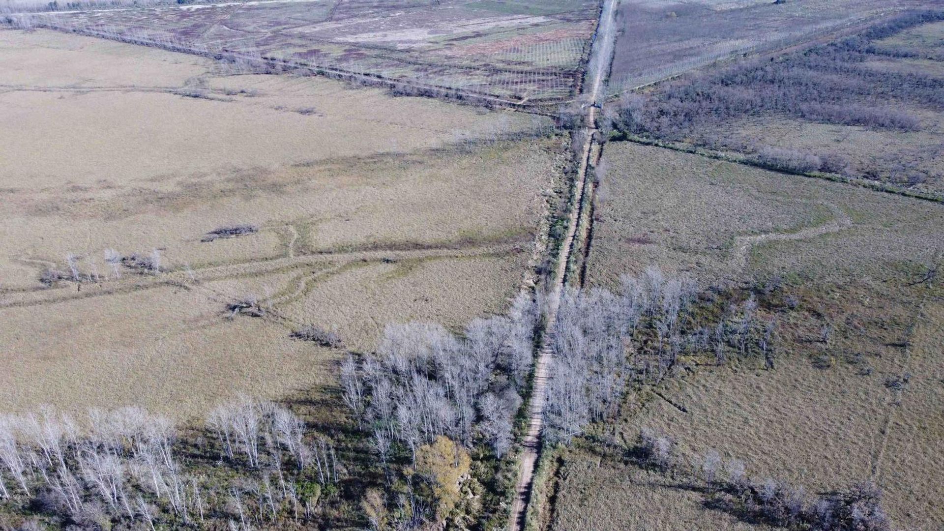 Annen i Belén de Escobar, Provincia de Buenos Aires 12276745