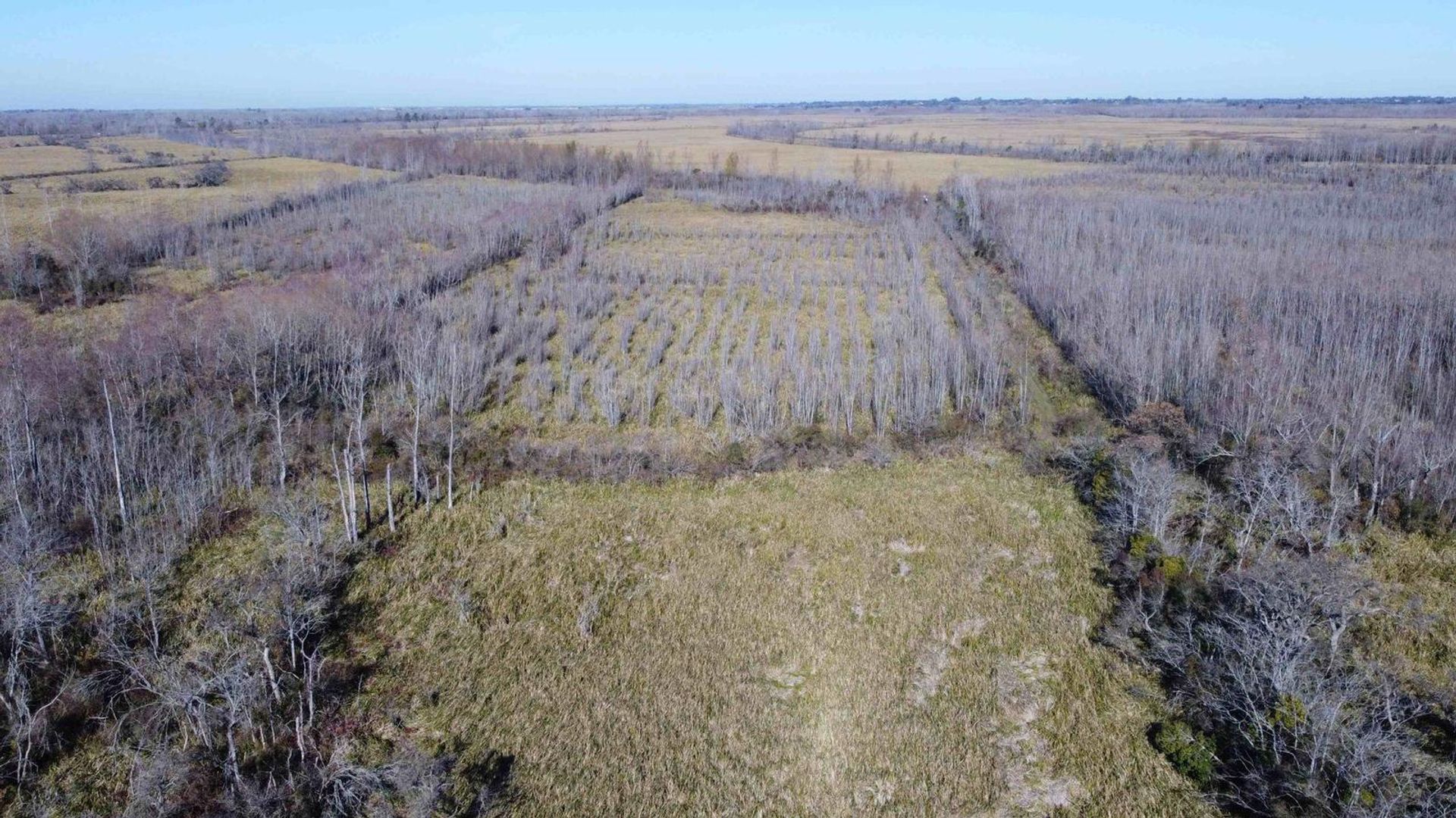 Annen i Belén de Escobar, Provincia de Buenos Aires 12276745