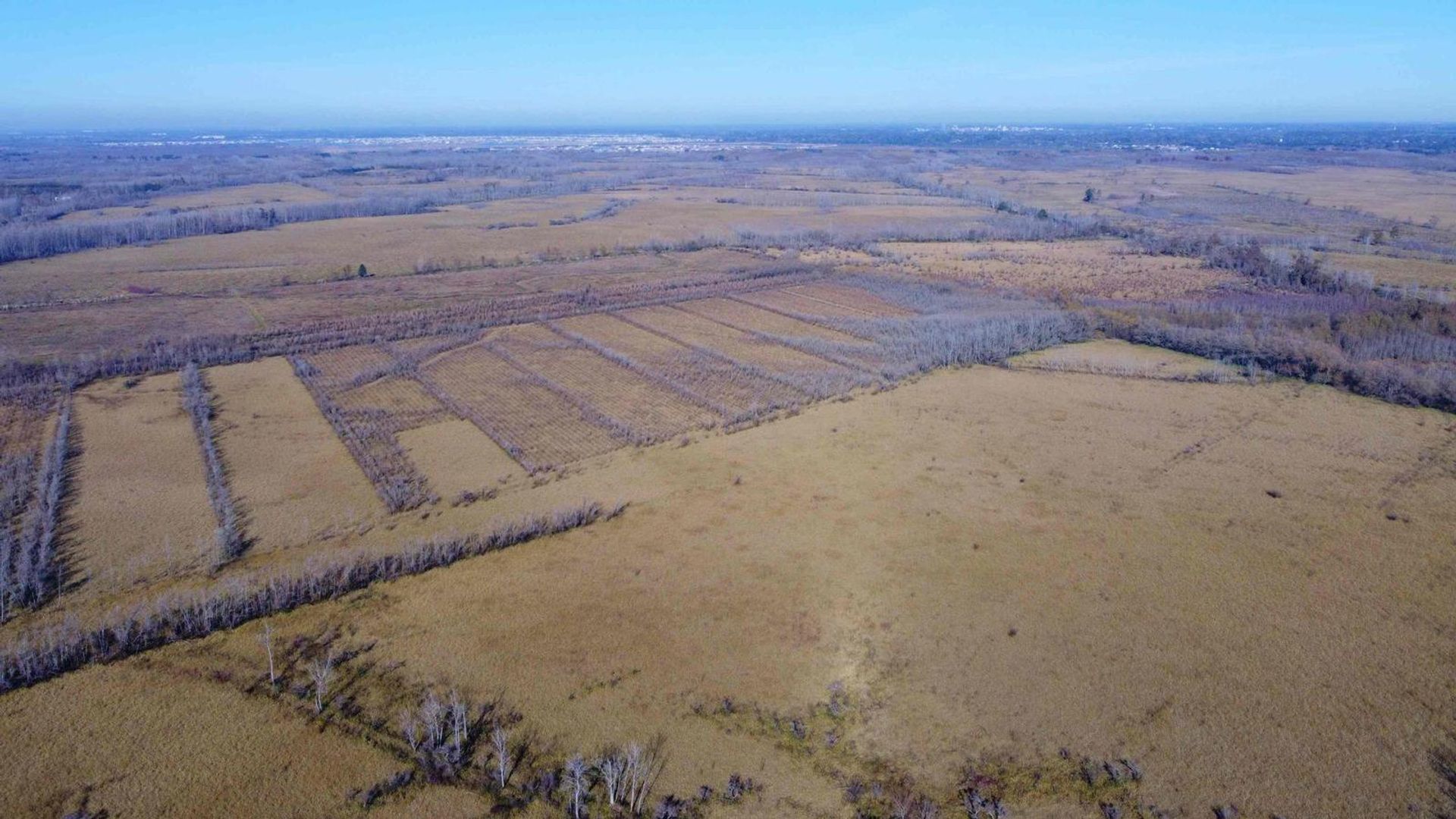 Annen i Belén de Escobar, Provincia de Buenos Aires 12276745