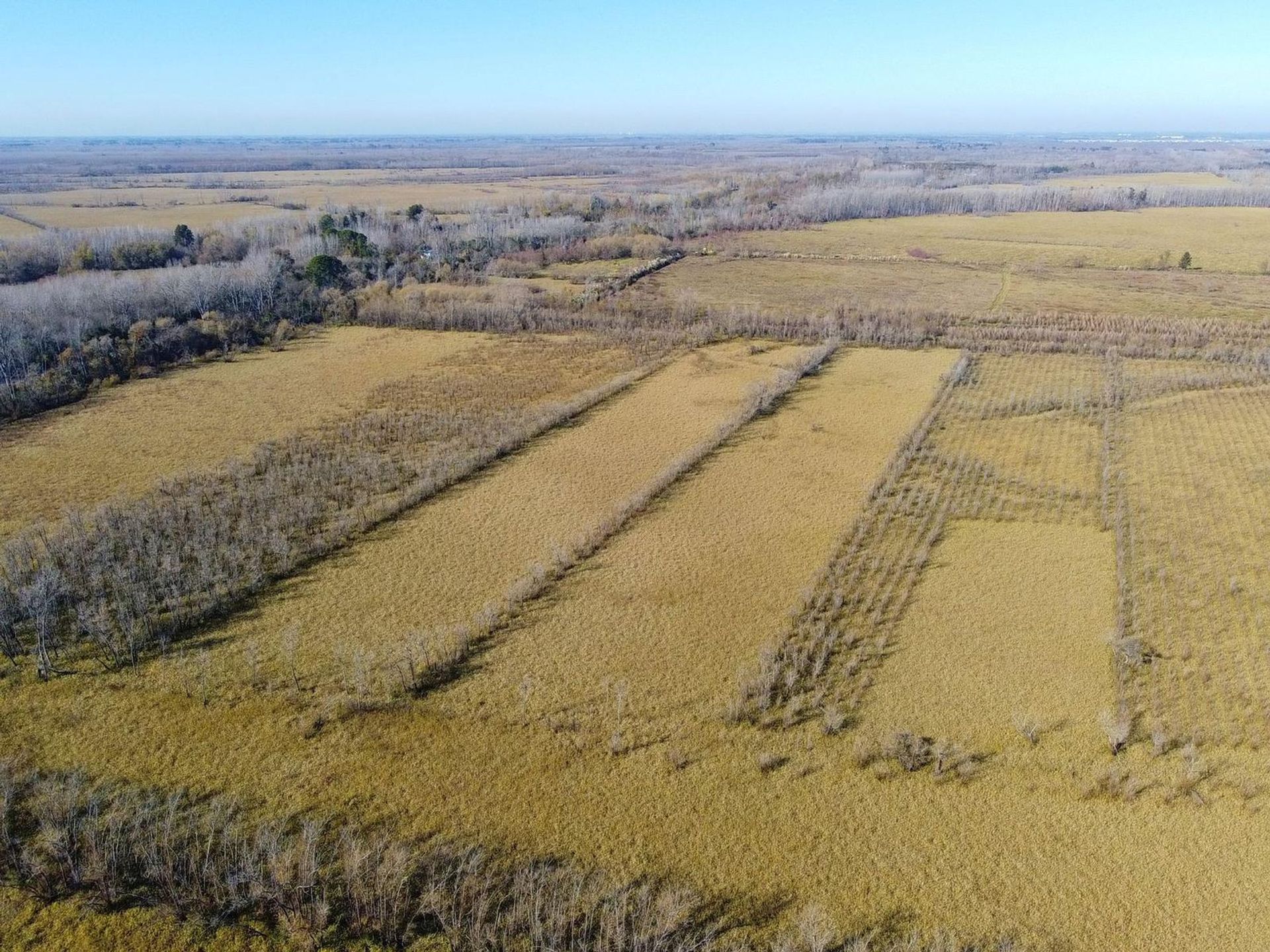 Annen i Belén de Escobar, Provincia de Buenos Aires 12276745