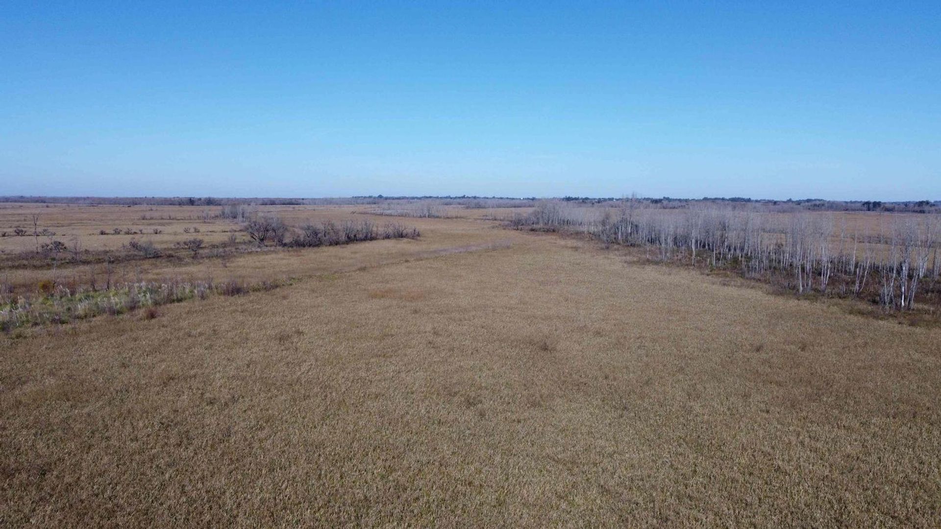 Annen i Belén de Escobar, Provincia de Buenos Aires 12276745