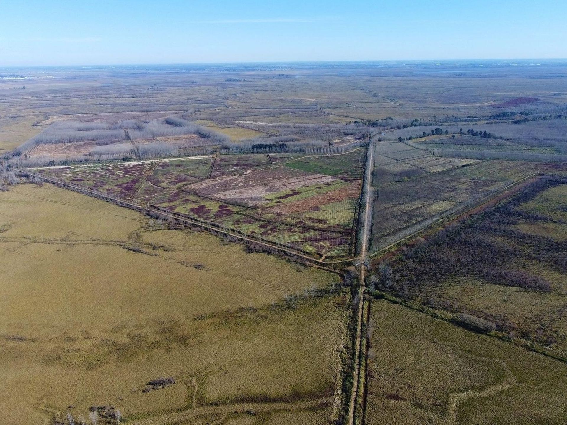 다른 에 Belén de Escobar, Provincia de Buenos Aires 12276745