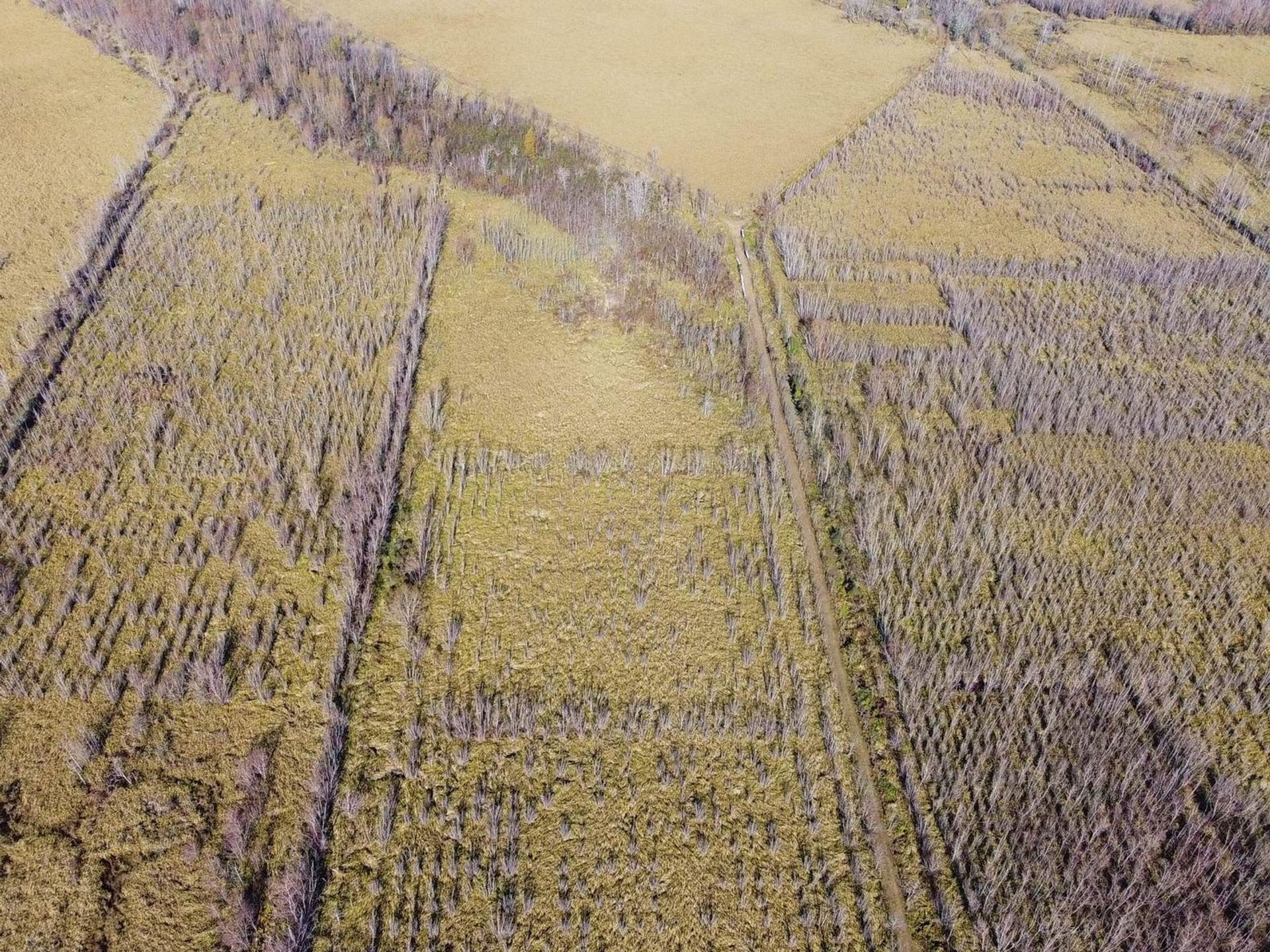 Annen i Belén de Escobar, Provincia de Buenos Aires 12276745