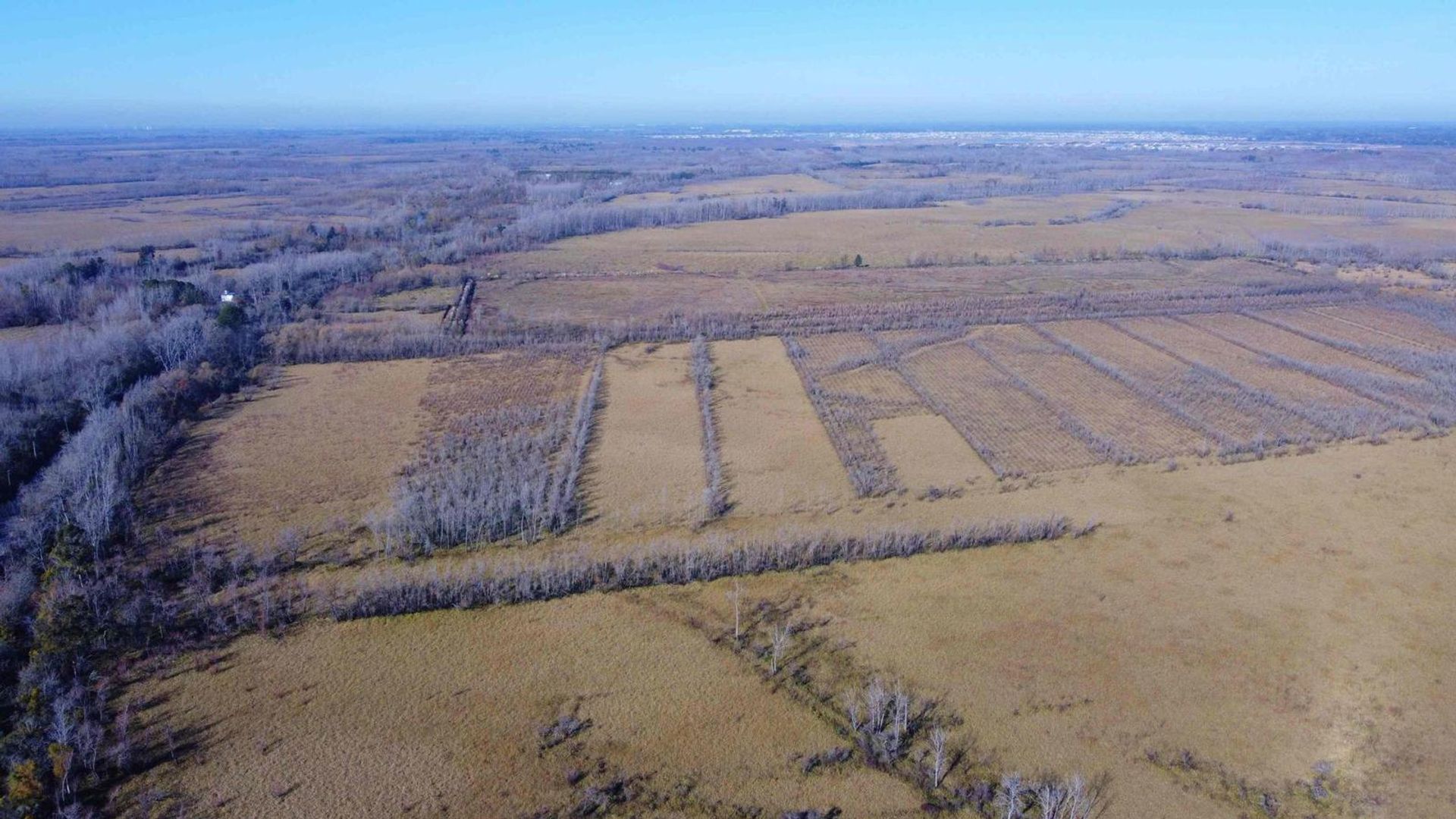 Annen i Belén de Escobar, Provincia de Buenos Aires 12276745