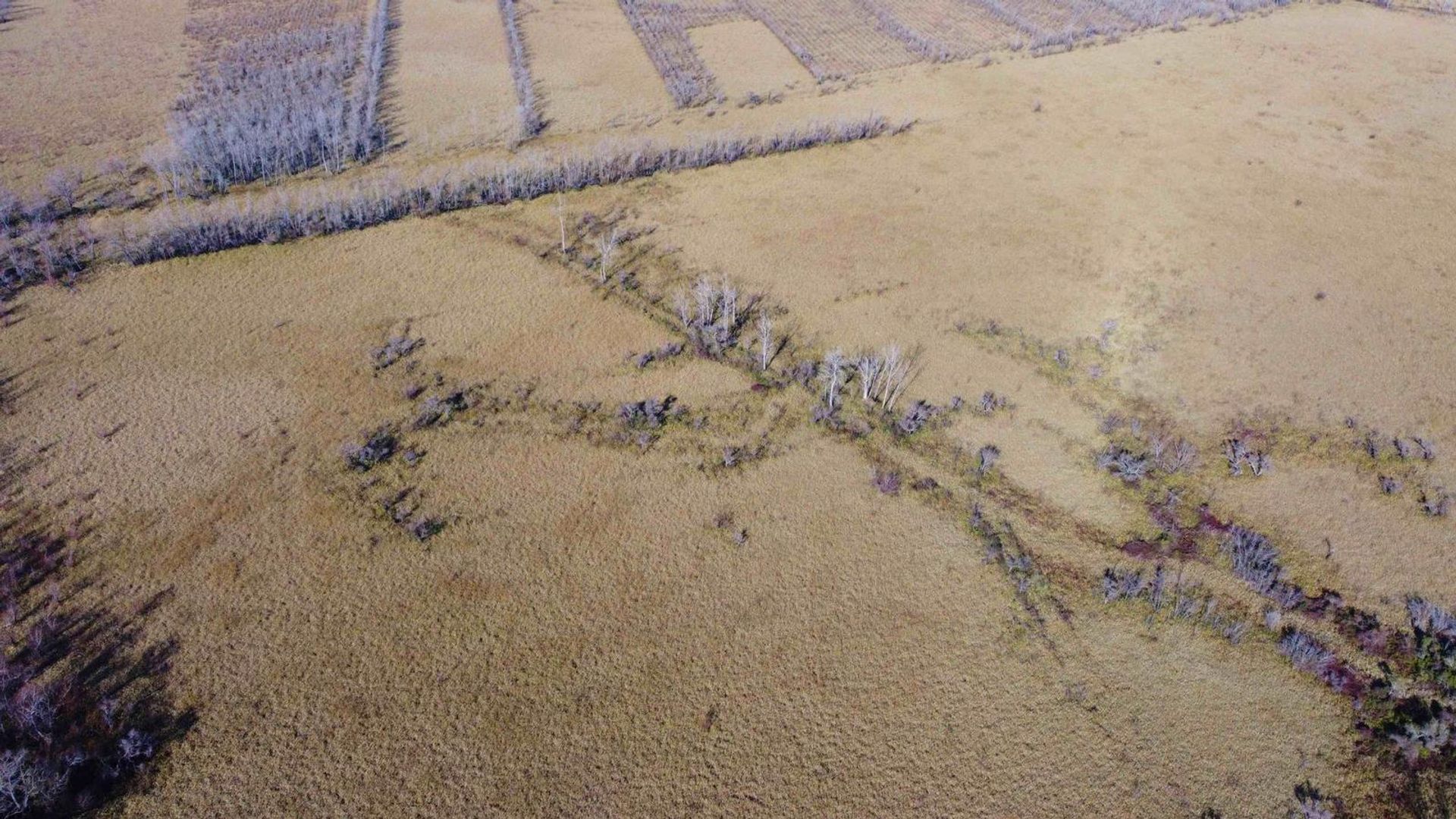 Annen i Belén de Escobar, Provincia de Buenos Aires 12276745