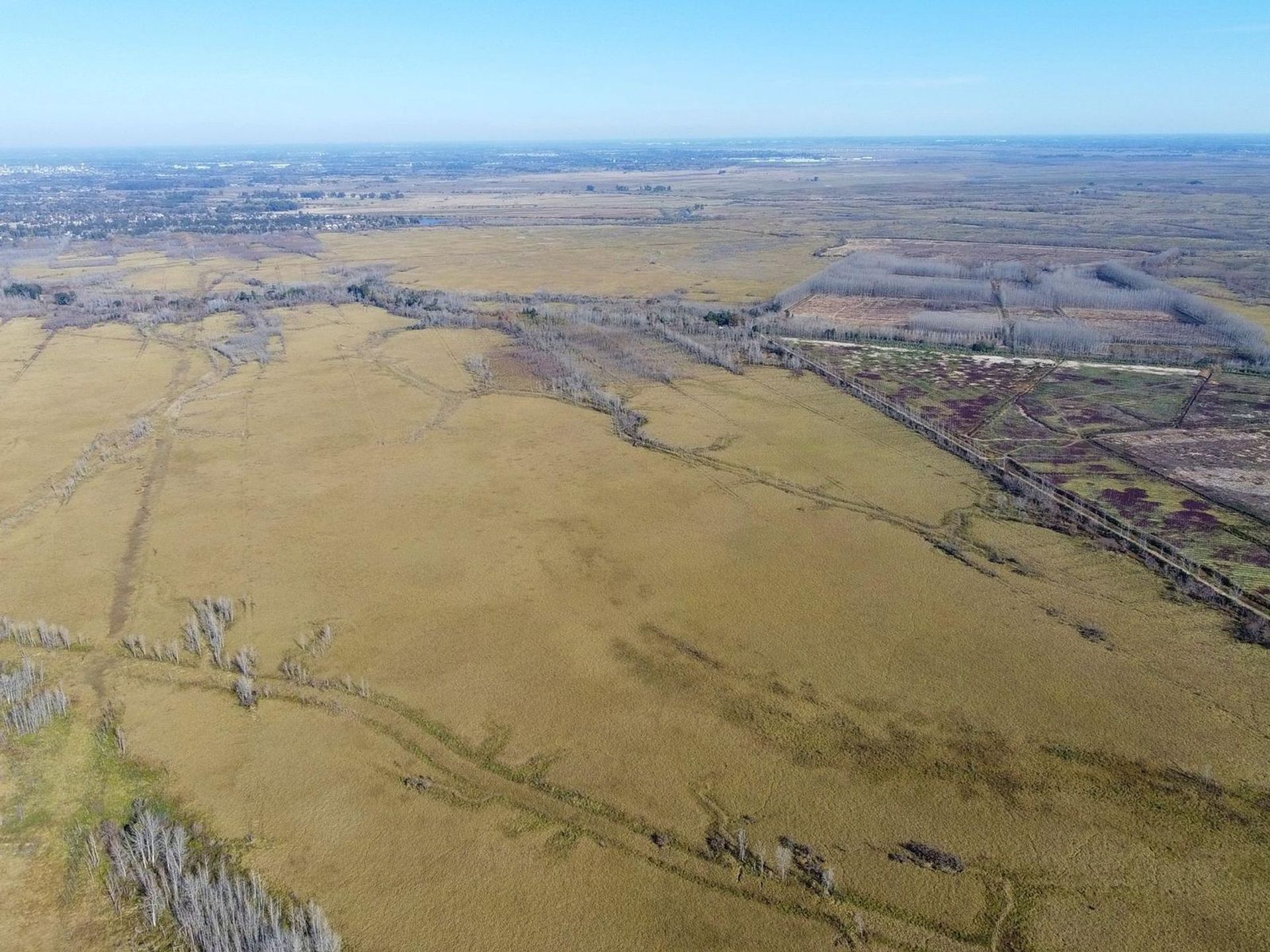 Annen i Belén de Escobar, Provincia de Buenos Aires 12276745