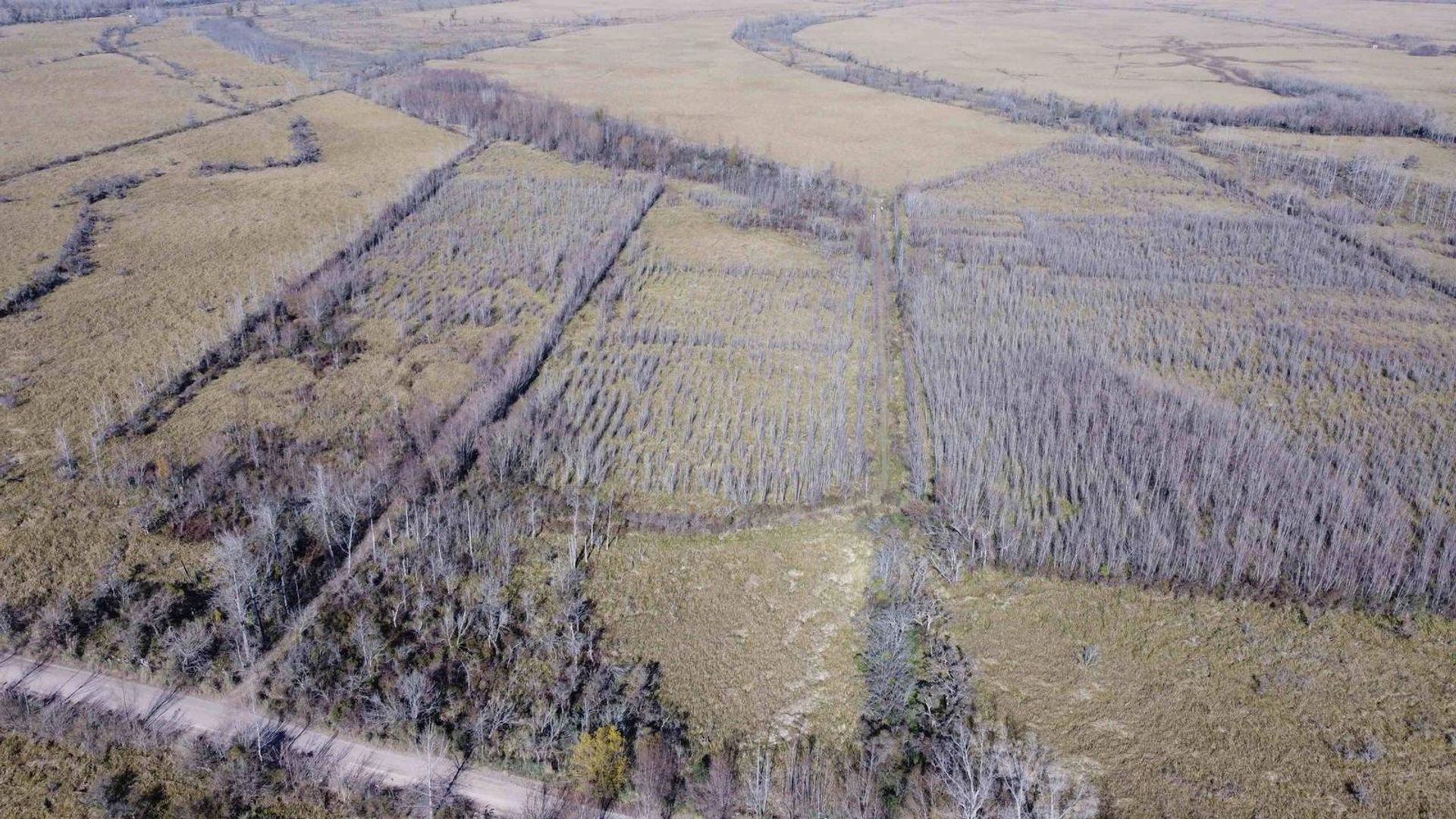 Αλλα σε Belén de Escobar, Provincia de Buenos Aires 12276839