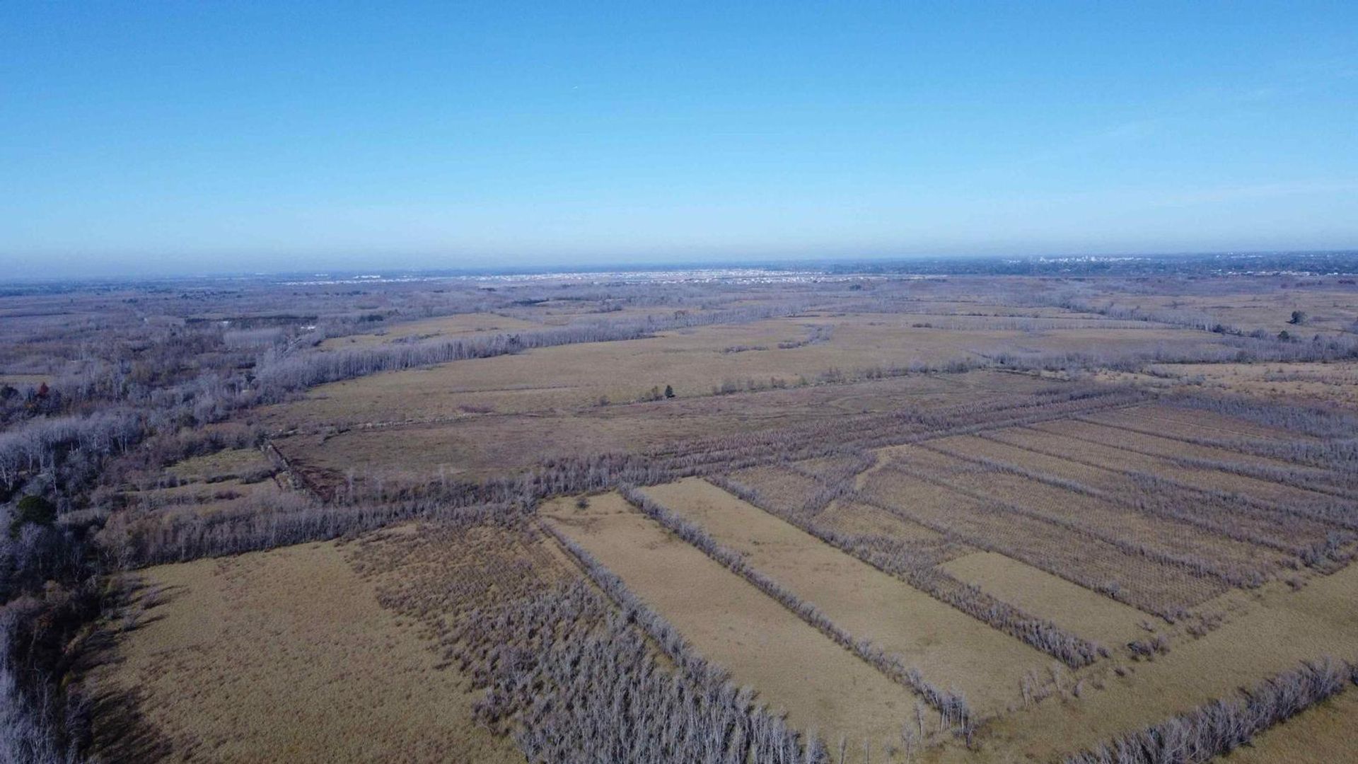 Αλλα σε Belén de Escobar, Provincia de Buenos Aires 12276839