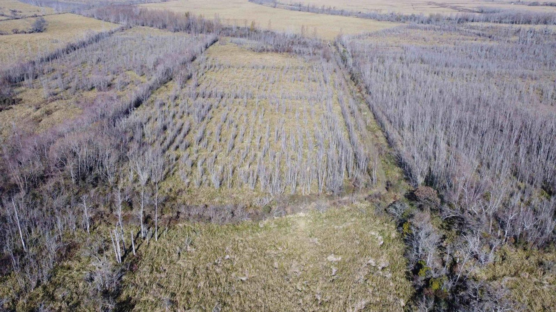 其他 在 Belén de Escobar, Provincia de Buenos Aires 12276840