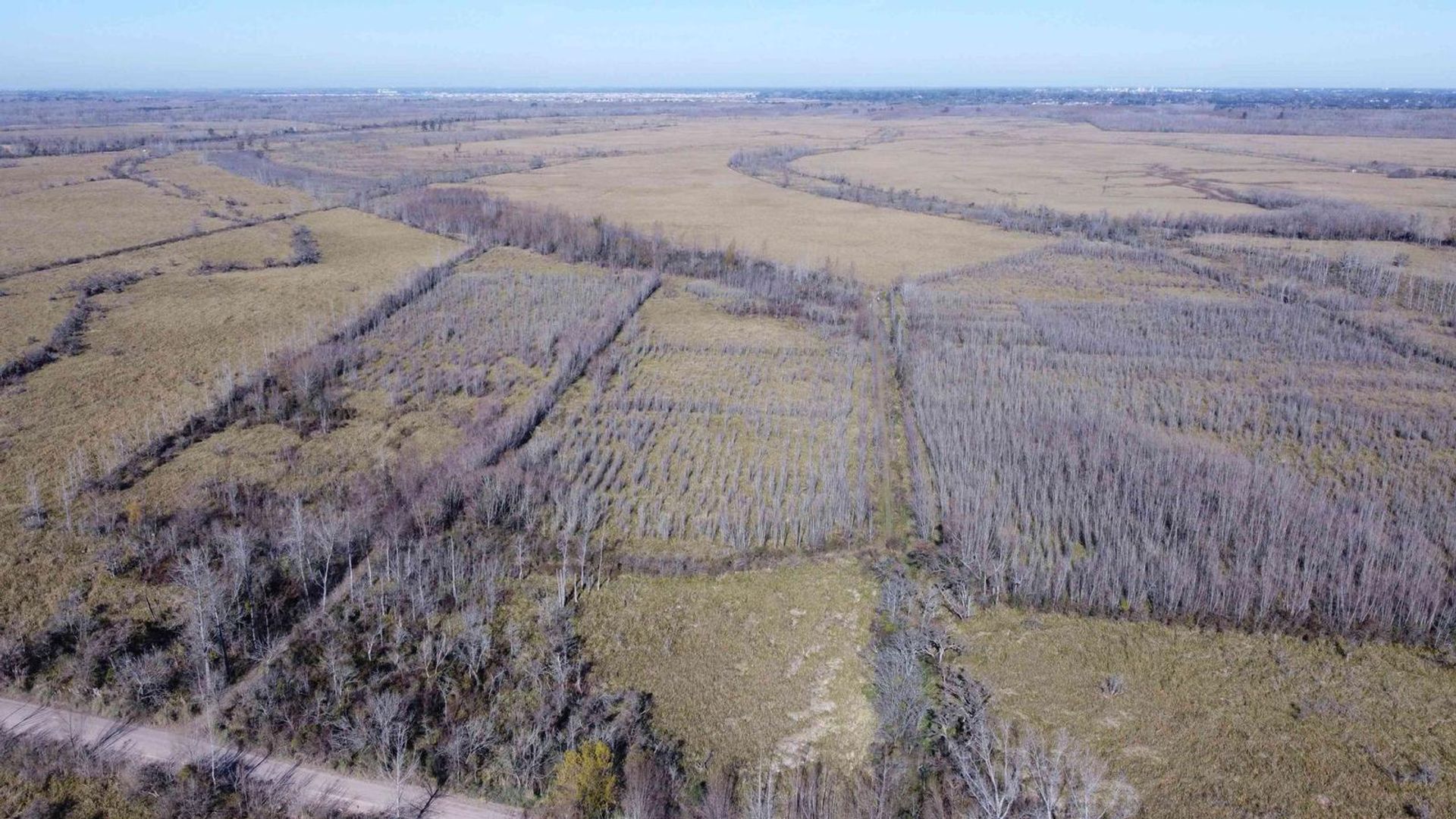 Annen i Belén de Escobar, Provincia de Buenos Aires 12276840