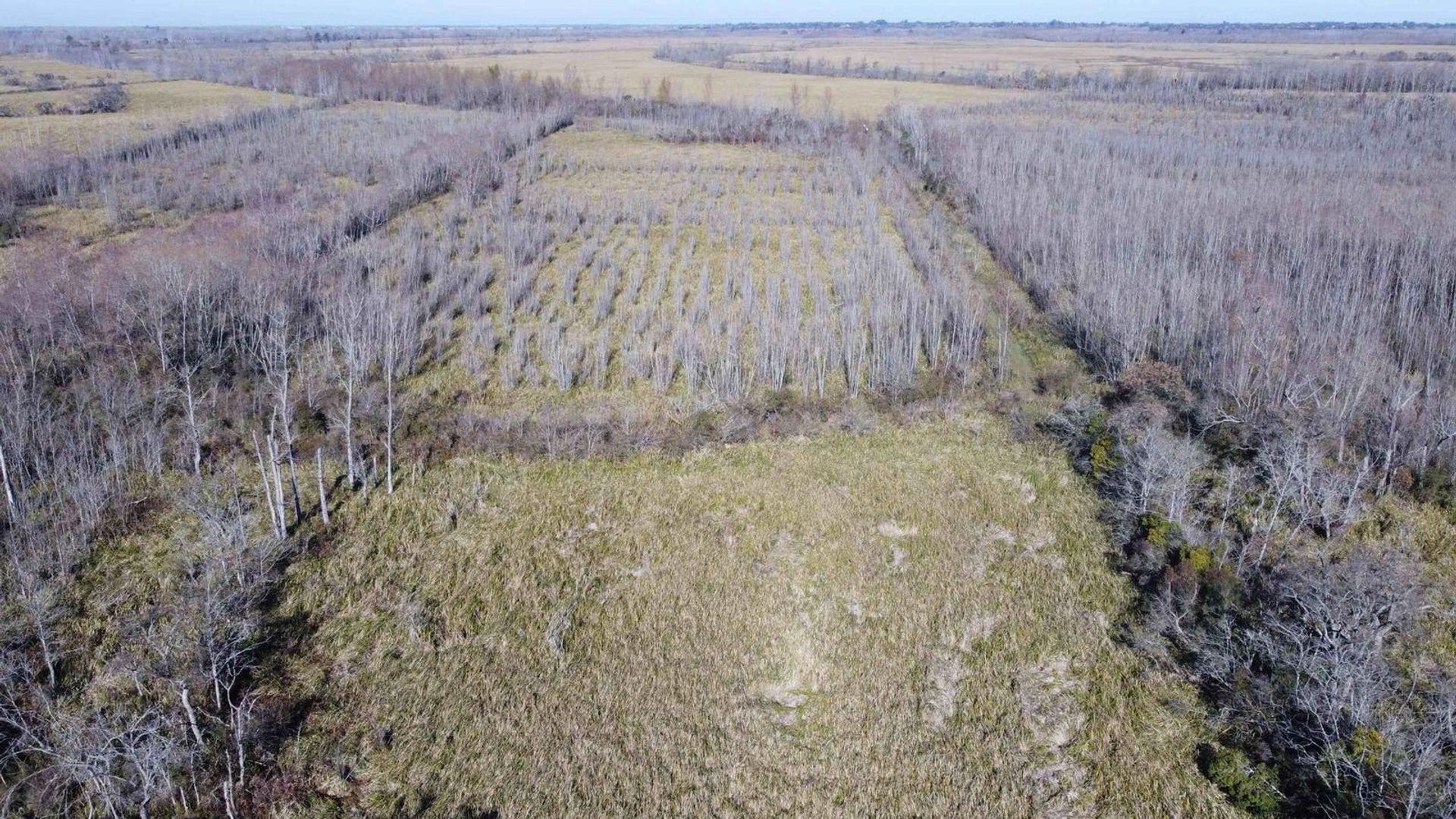 Annen i Belén de Escobar, Provincia de Buenos Aires 12276840