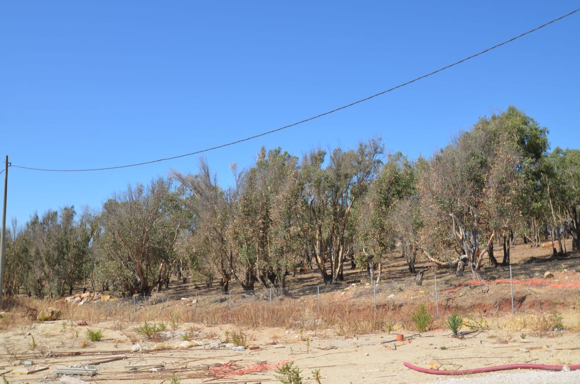 Land in Manilva, Andalucía 12277260