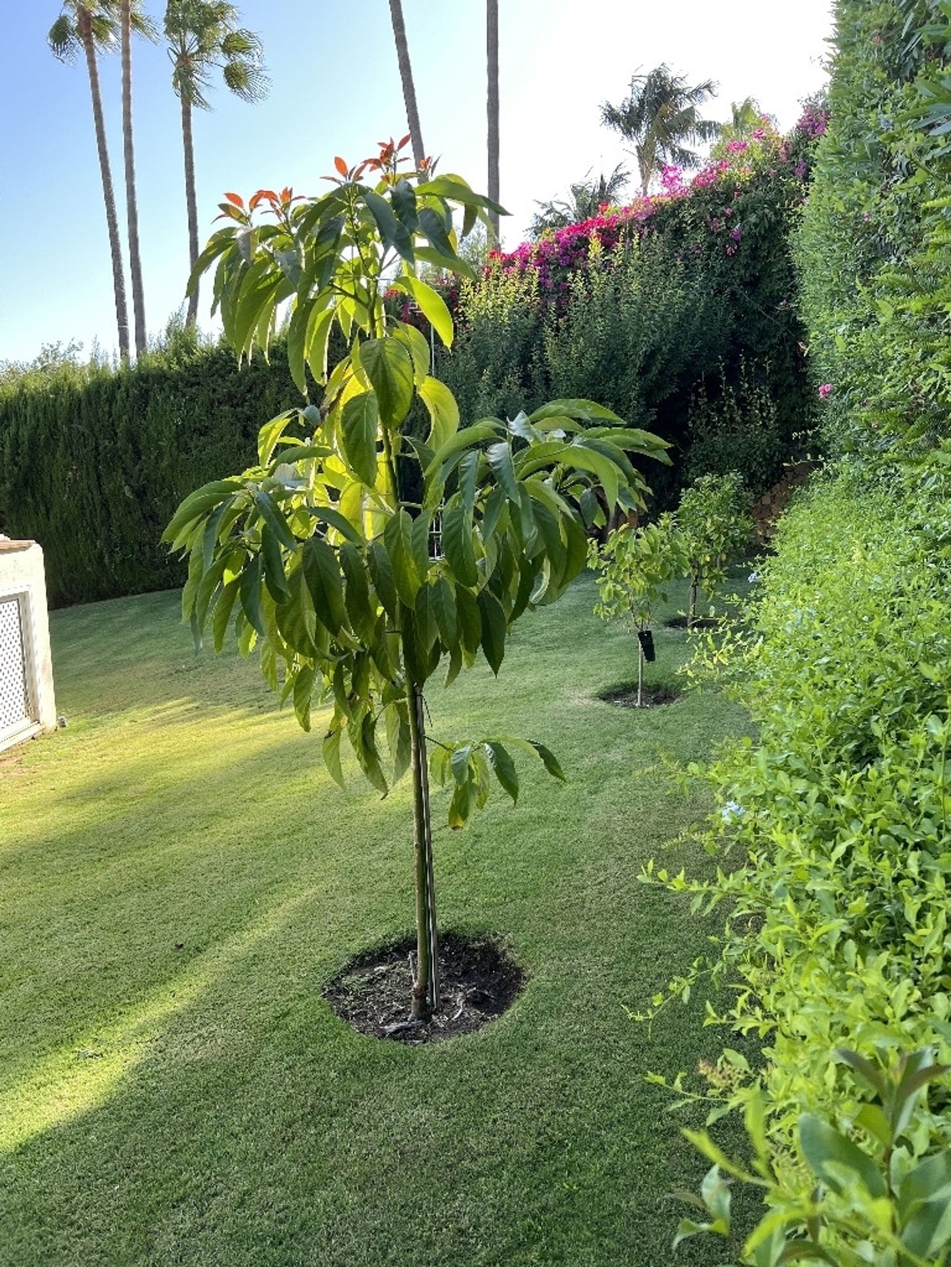 casa no Marbella, Andalucía 12277768