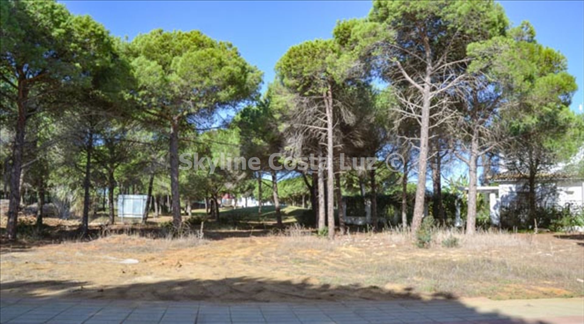 Land im Chiclana de la Frontera, Andalusia 12278092