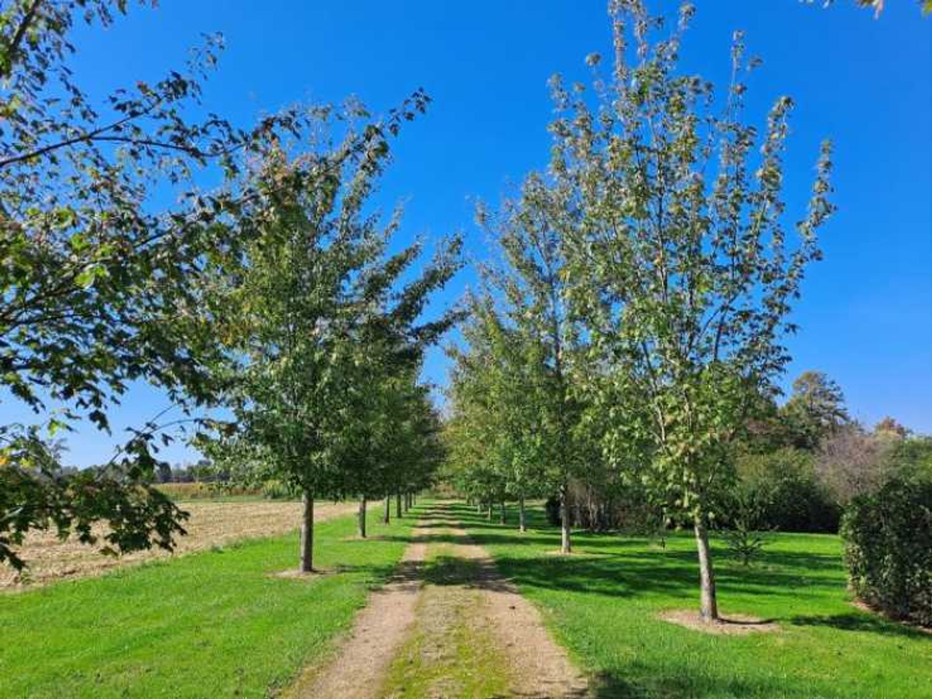 Talo sisään Cazaubon, Occitanie 12278540