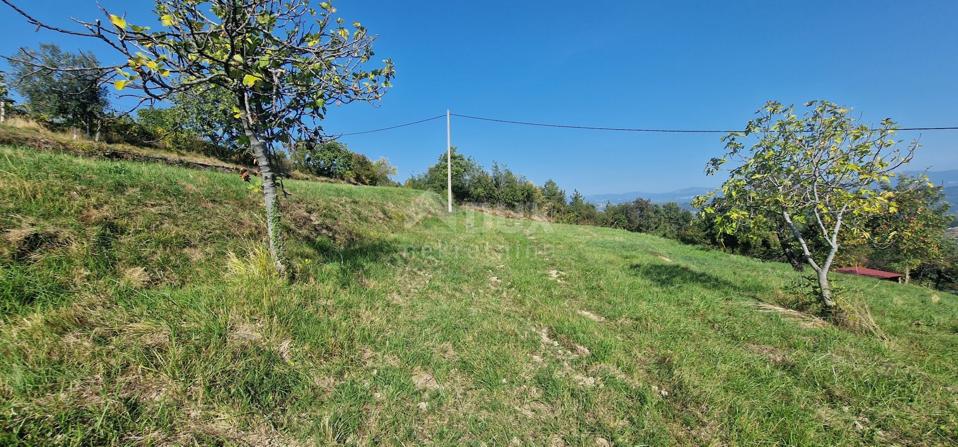 土地 在 Motovun, Istria County 12280141