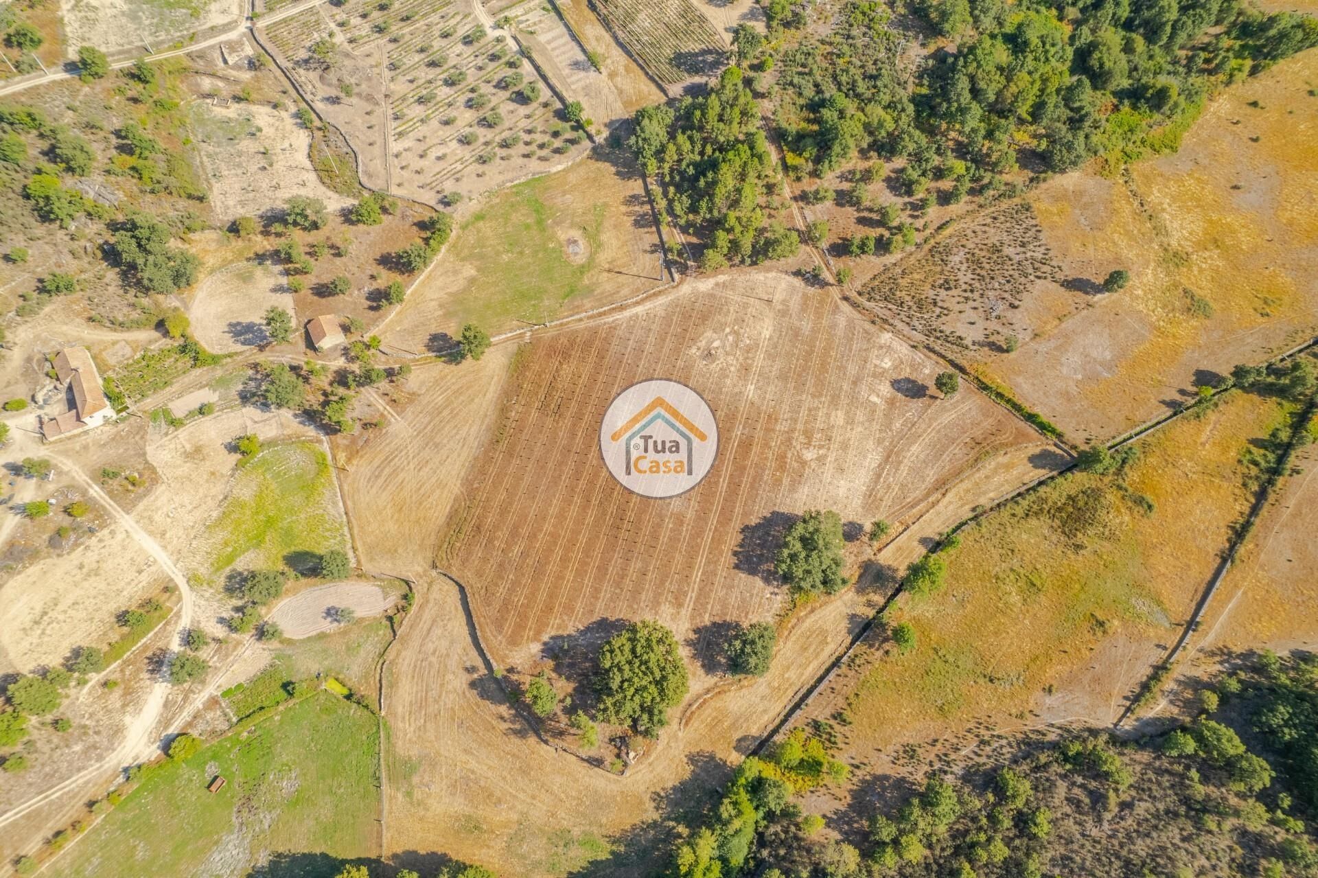 Terre dans Riodades, Viseu 12282460