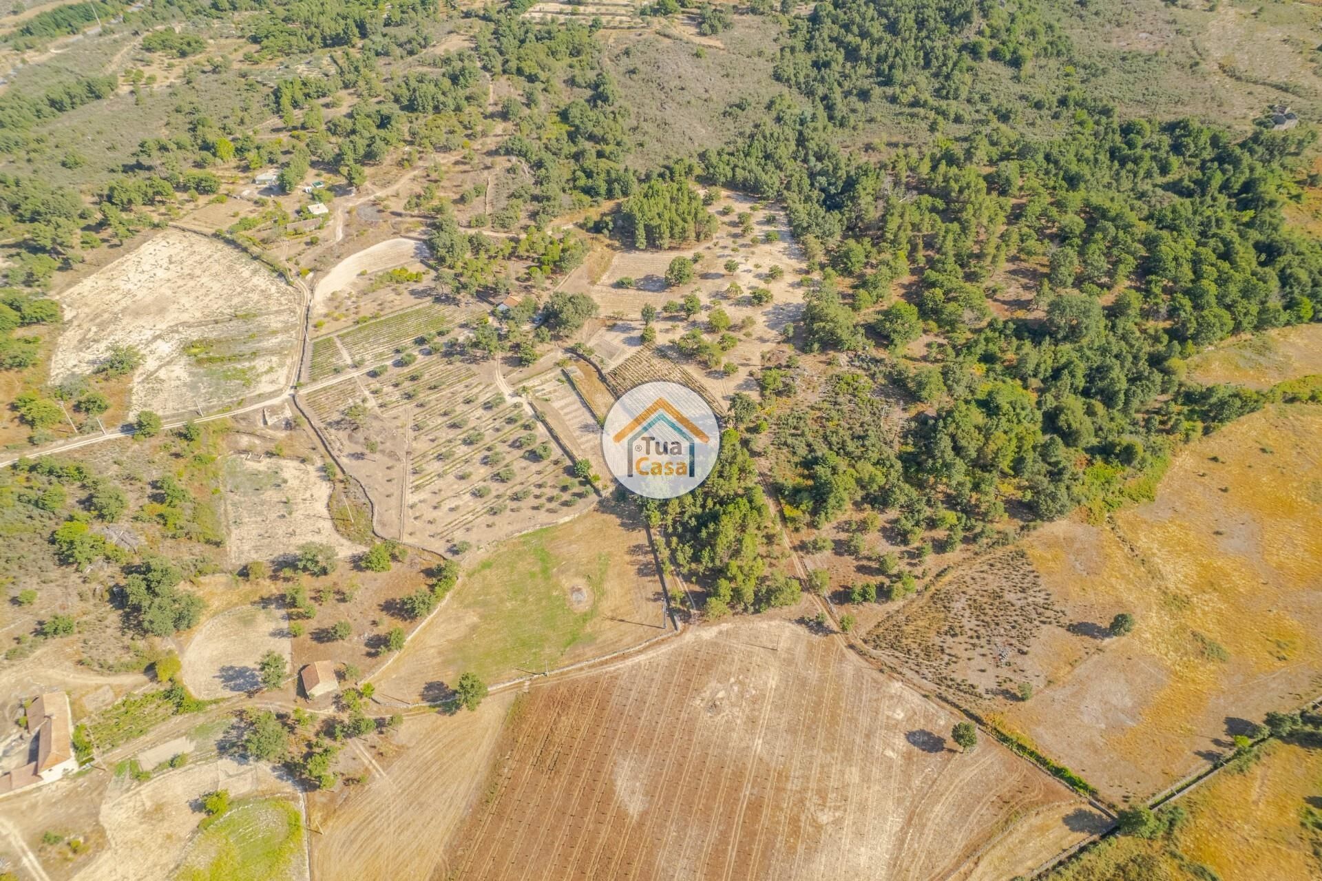 Terre dans Riodades, Viseu 12282460