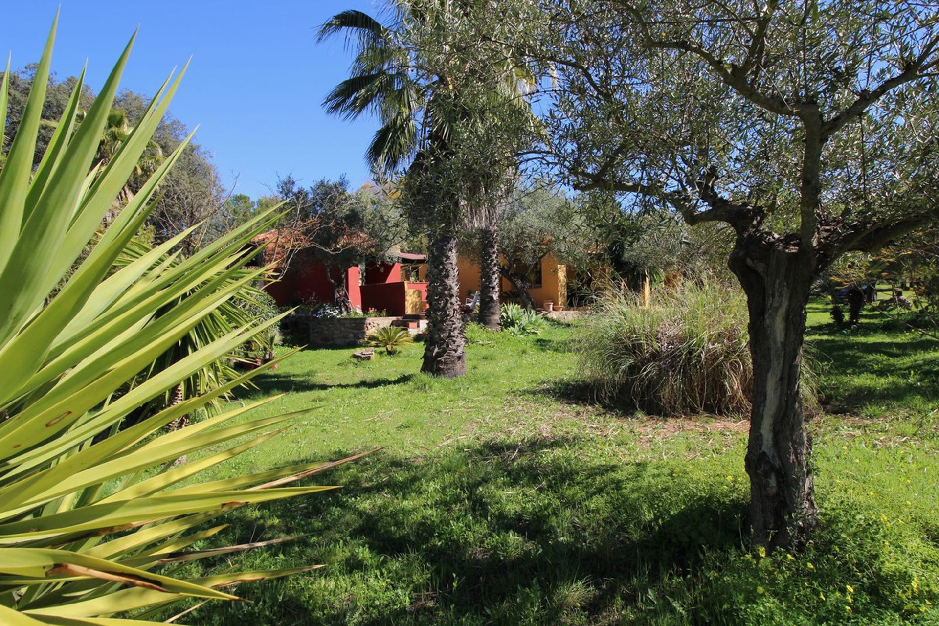 casa en Coín, Andalusia 12283640